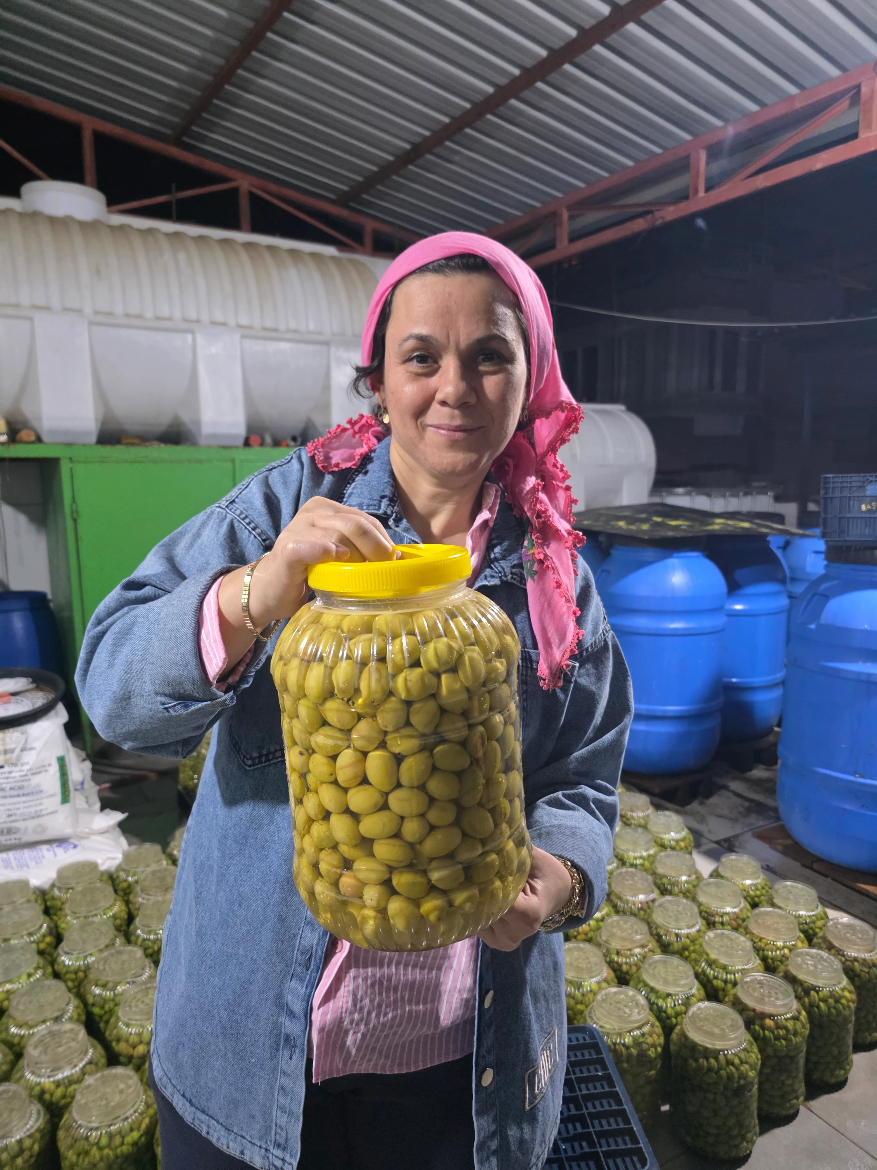 Kırma Yeşil Zeytin 5 Litrelik Bidonda Net 3 Kg