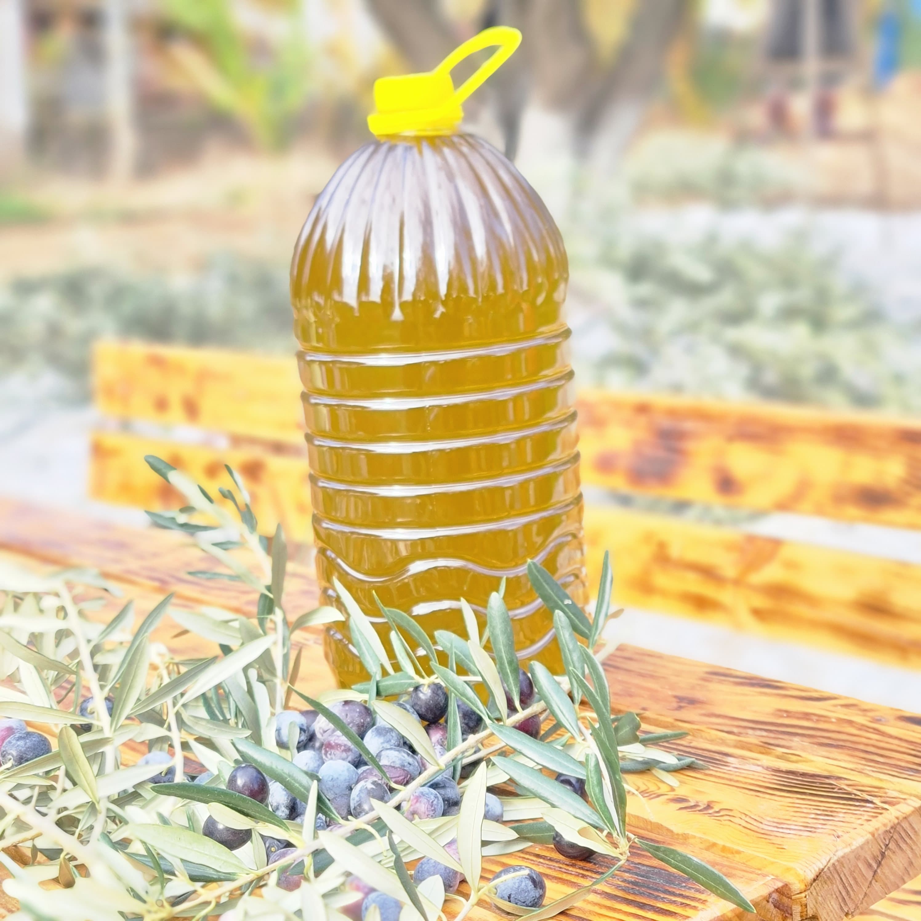 Olgun Hasat Zeytinyağı - Tek Bahçenin Ürünü - 5 Litre