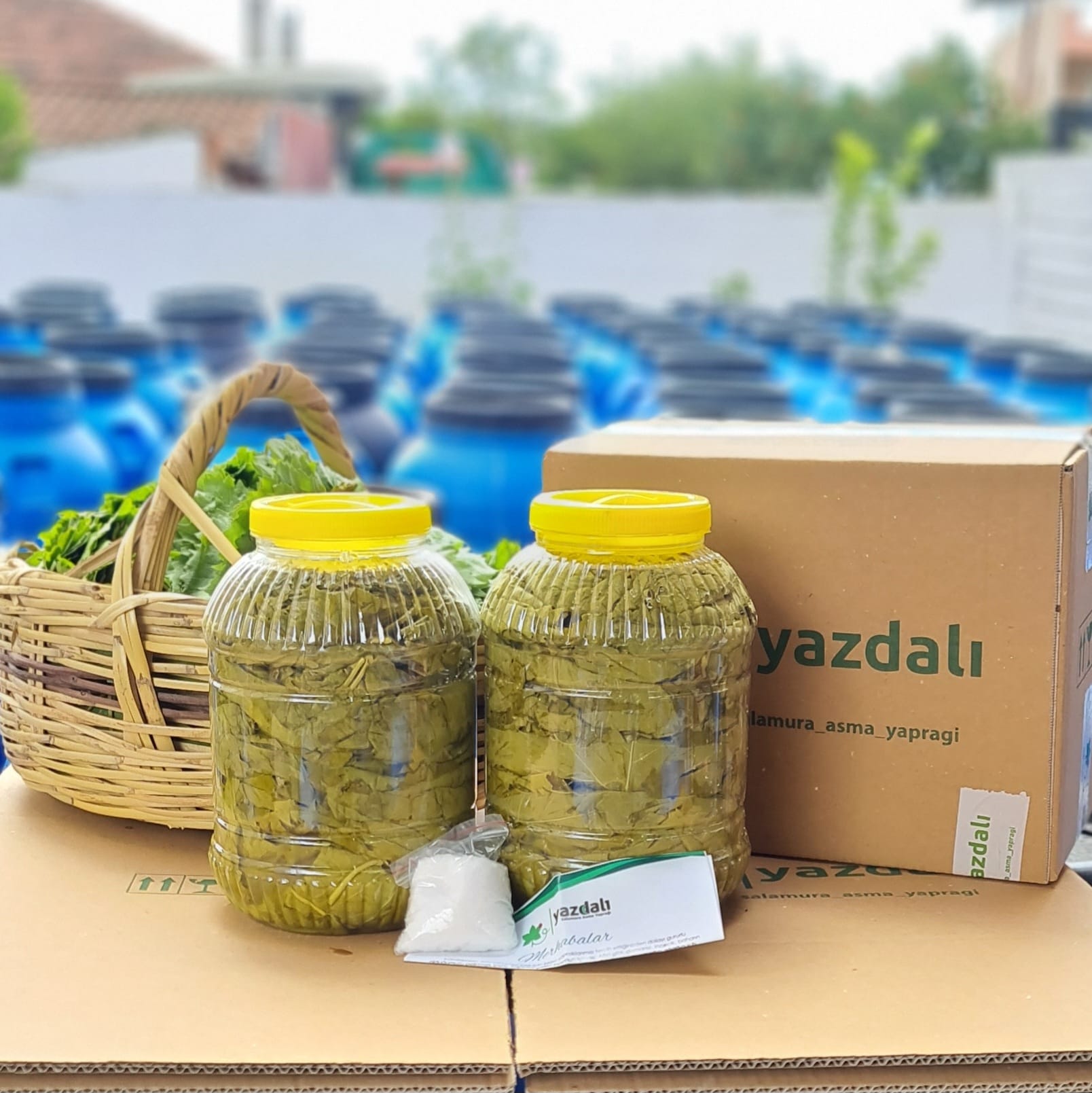 Yeni Mahsul Salamura Asma Yaprağı – Kargo Bedava - 2 Adet