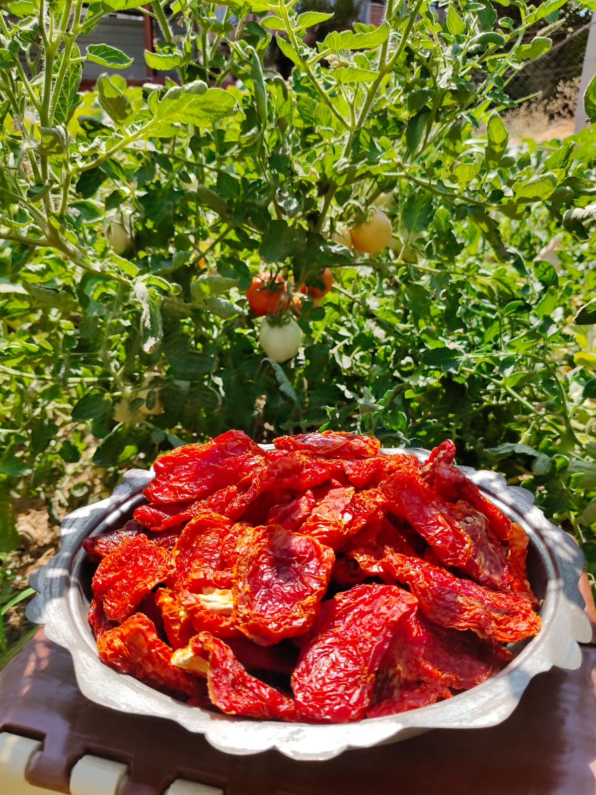 Doğal Kurutulmuş Domates-500 gr