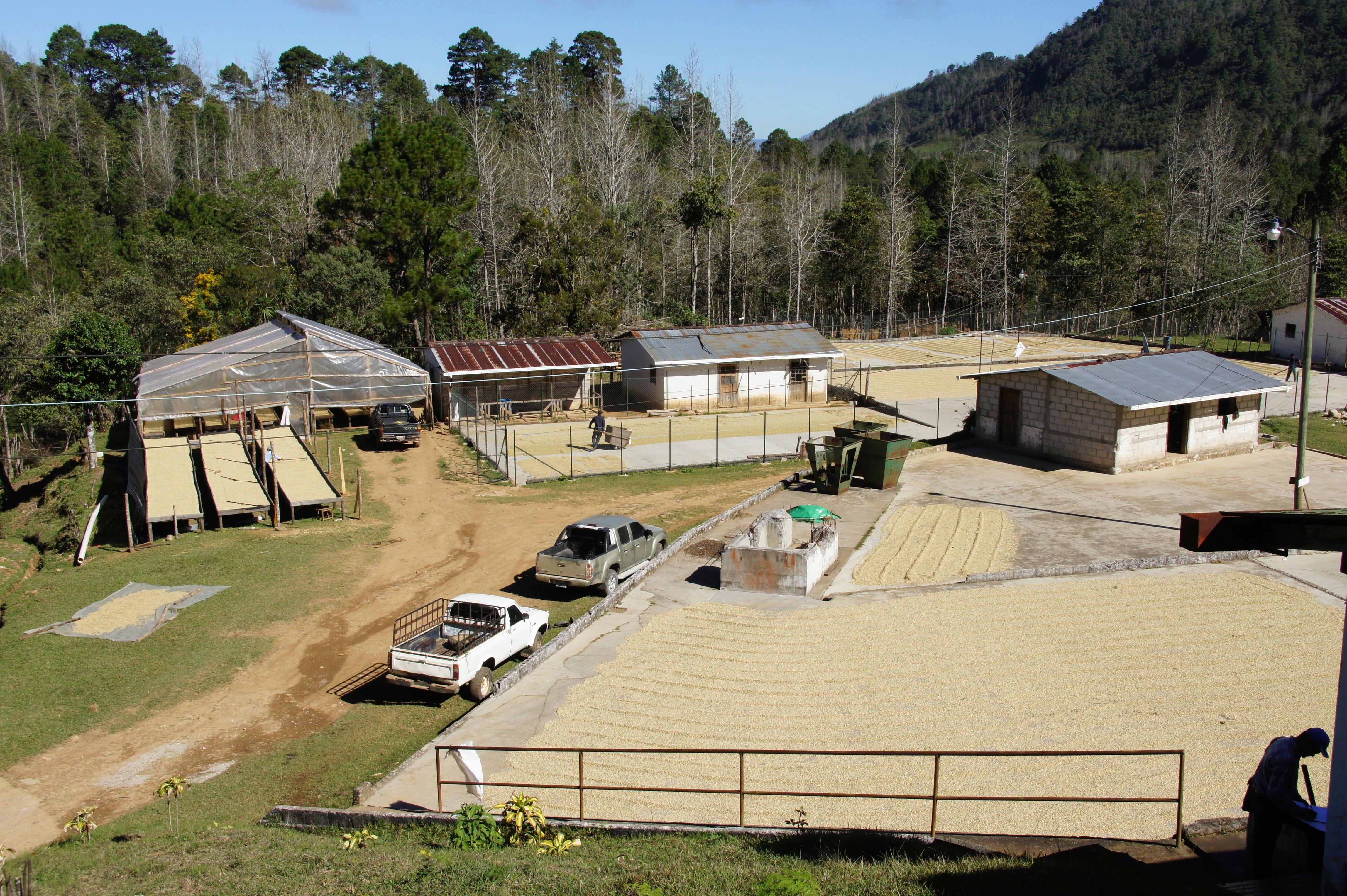 Honduras Caballero El Campo #2 — Extended Fermentation Natural