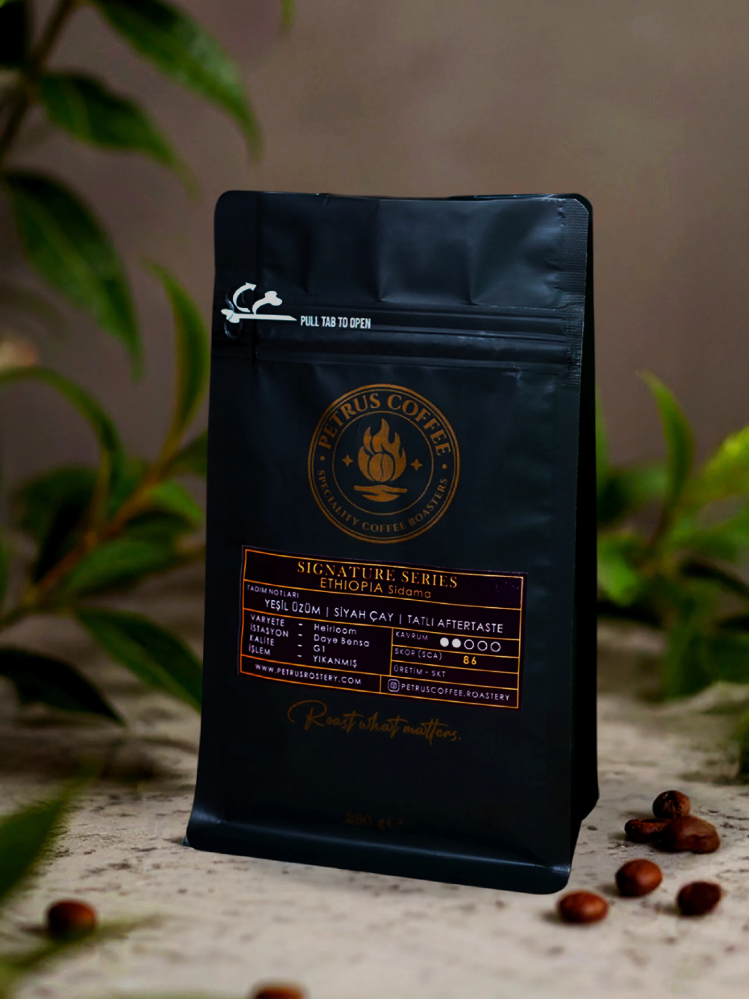 Ethiopia Sidama G1 — Washed