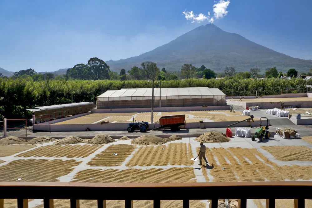 Guatemala Antigua SHB EP
