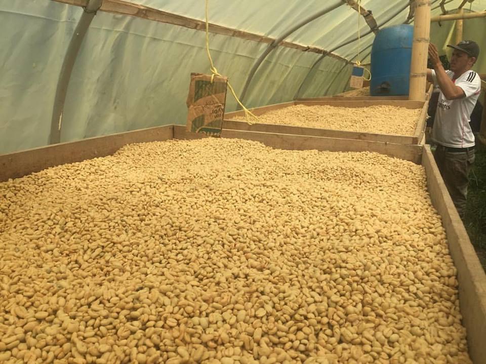 Colombia Antioquia La Claudina by Juan Saldarriaga