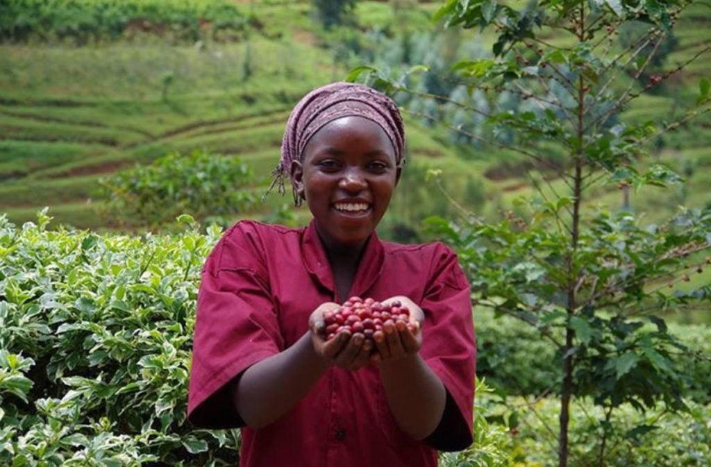 Rwanda Women Coffee Extension — Red Bourbon (Organic)