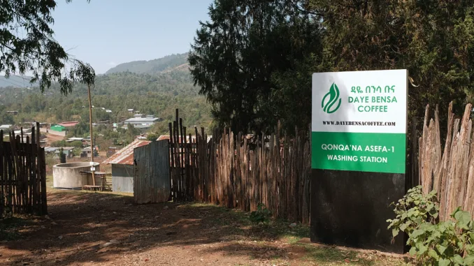 Ethiopia Sidama G1 — Washed