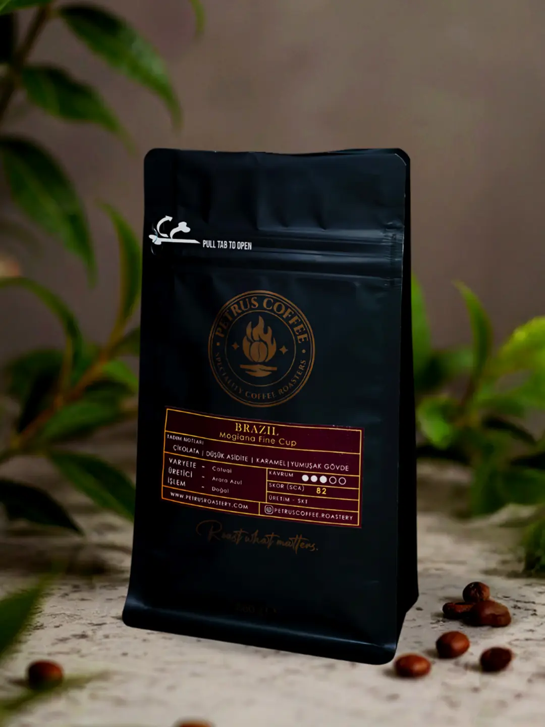 Brazil Mogiana Fine Cup — Catuai