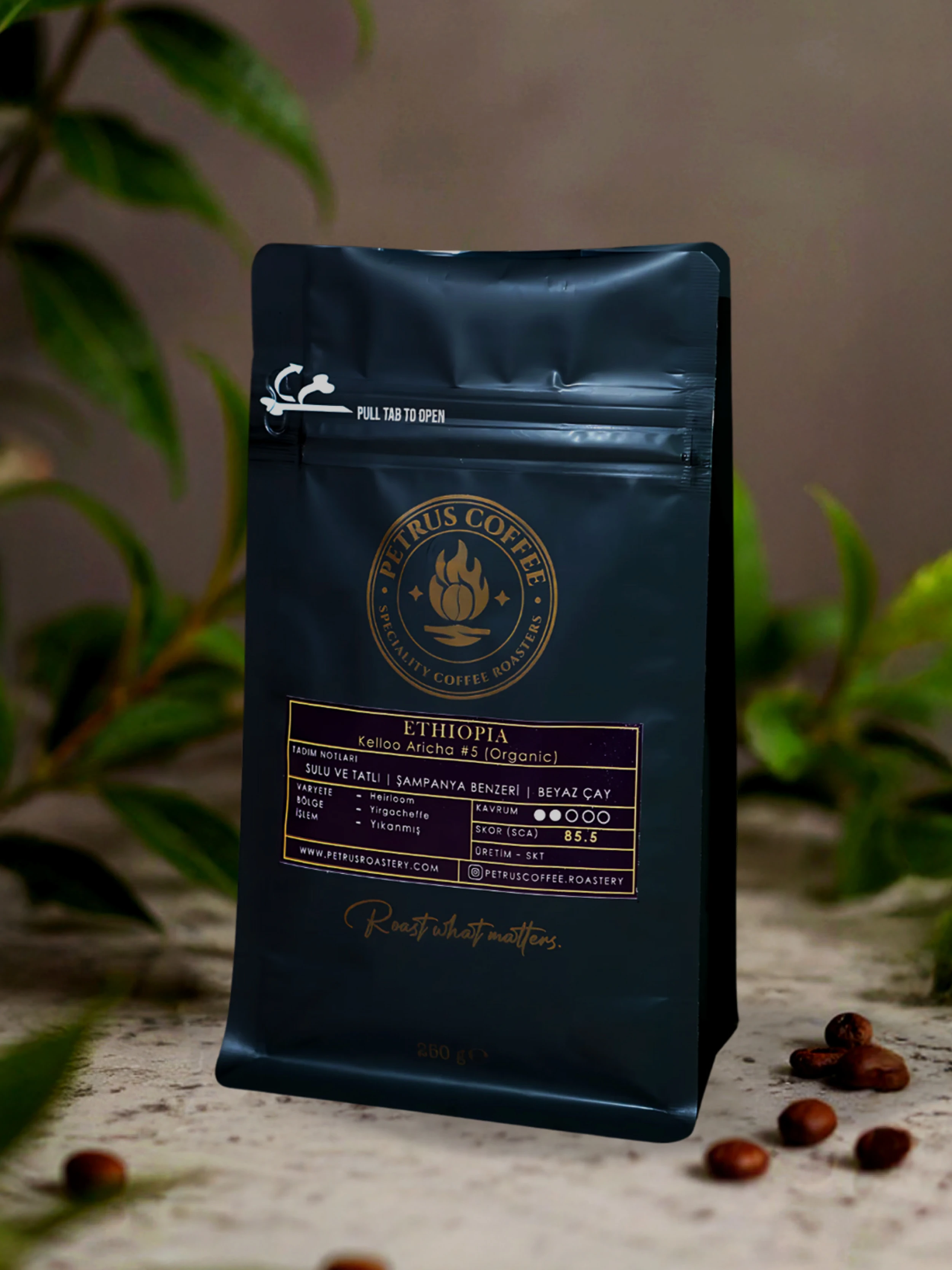 Ethiopia Kelloo Aricha #5 (Organic) — Washed