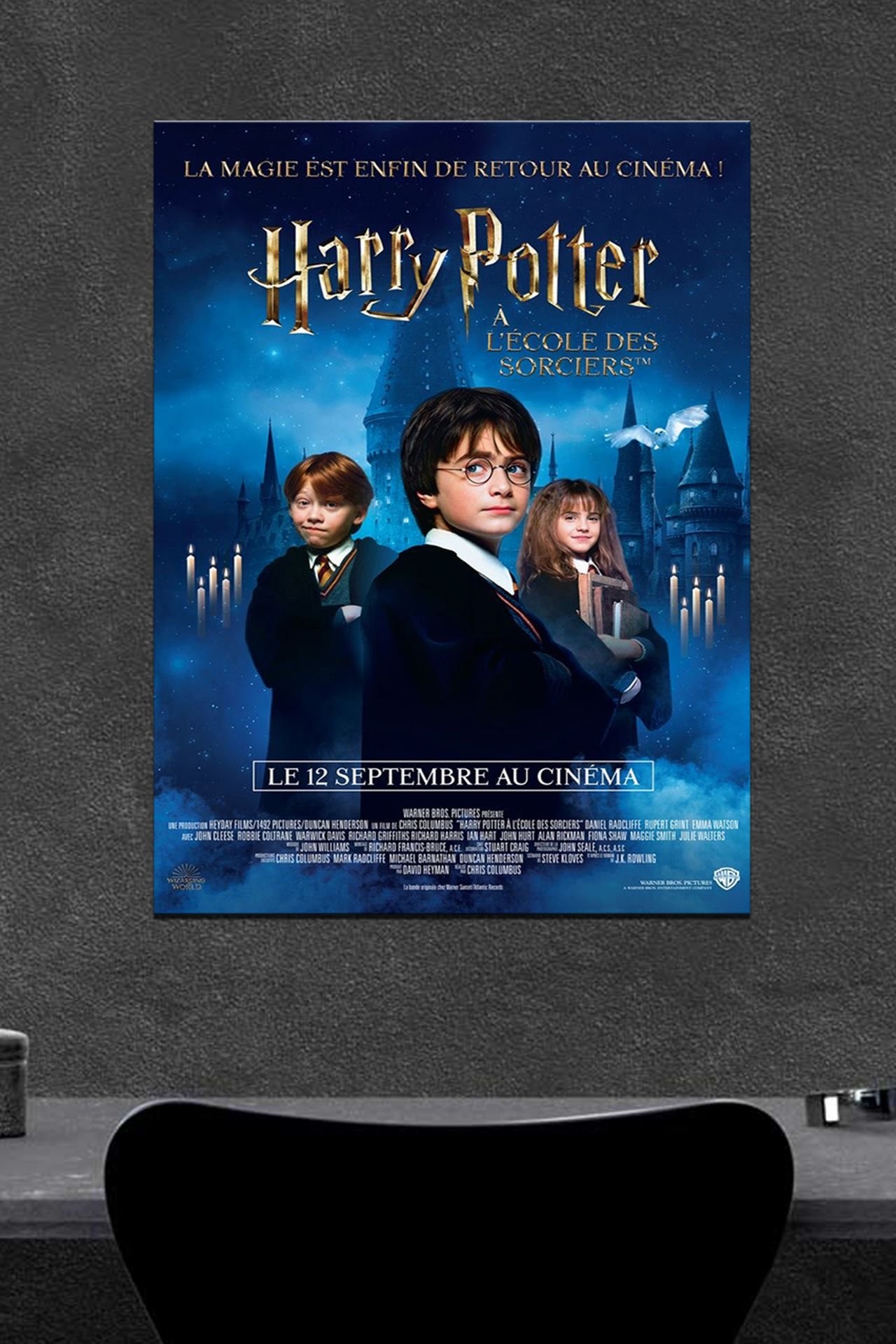 Harry Potter Ahşap Poster