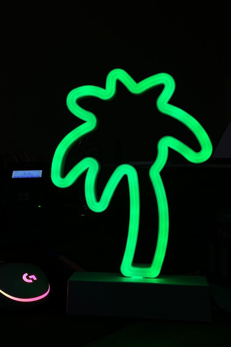 Hindistan Cevizi Ağacı 3D Gece Lambası