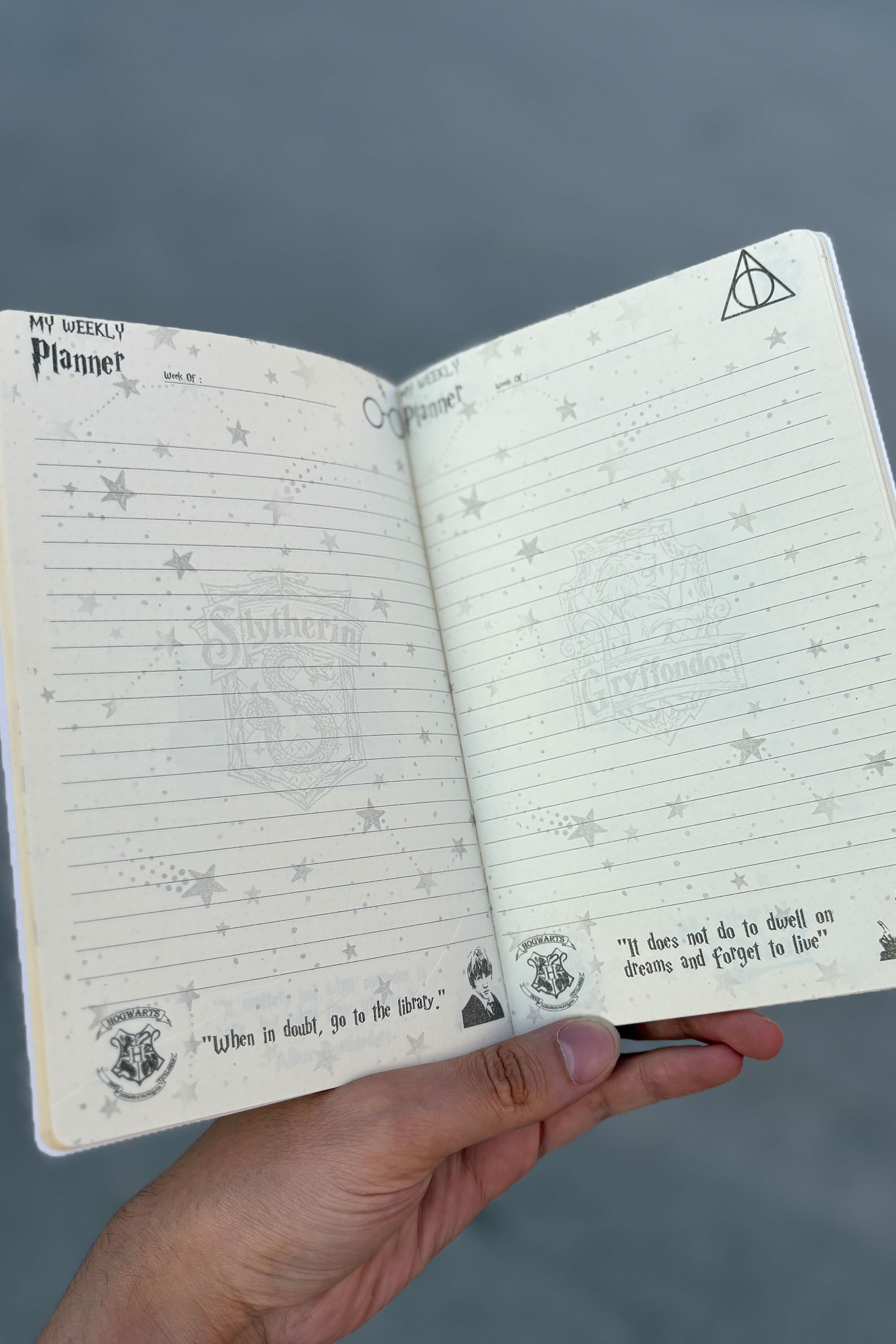 A5 Defter - HP Portre Sarı