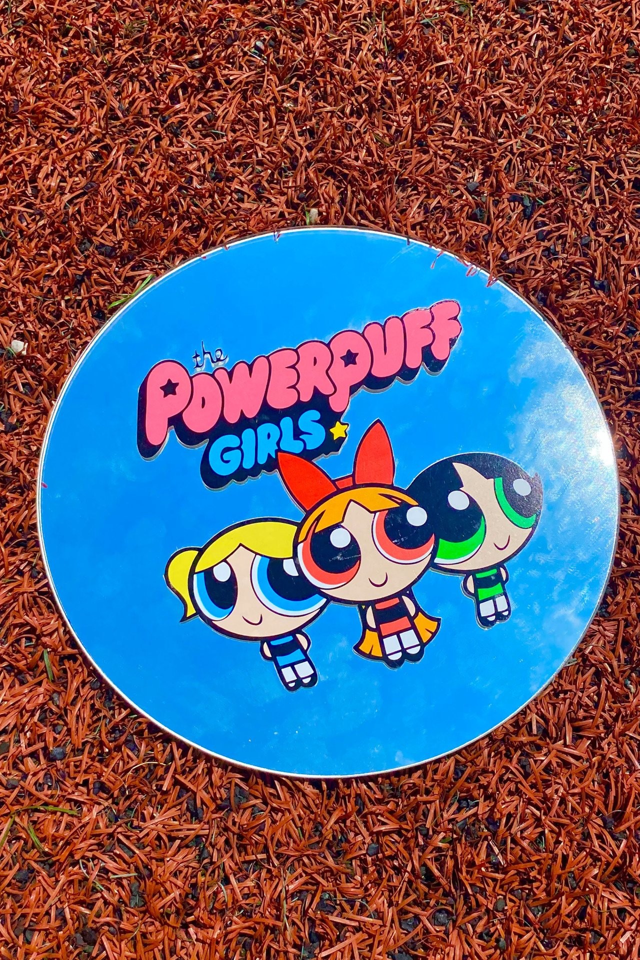 Power Puff Girls Yuvarlak Ayna