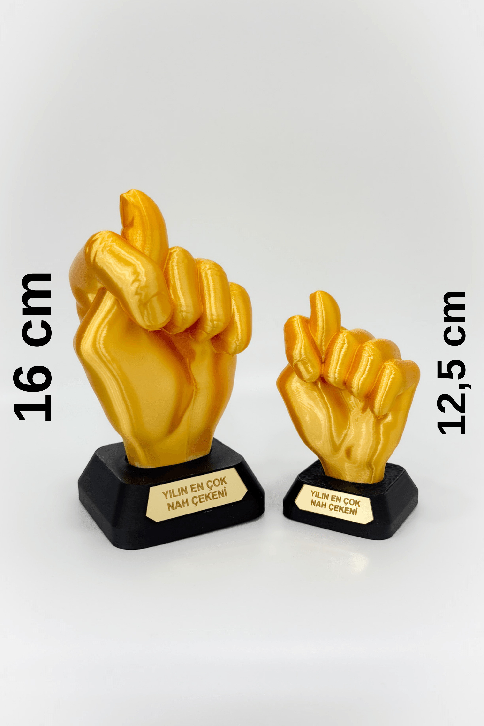 NAH Gold Renkli Ödül - BÜYÜK BOY ( 16cm )