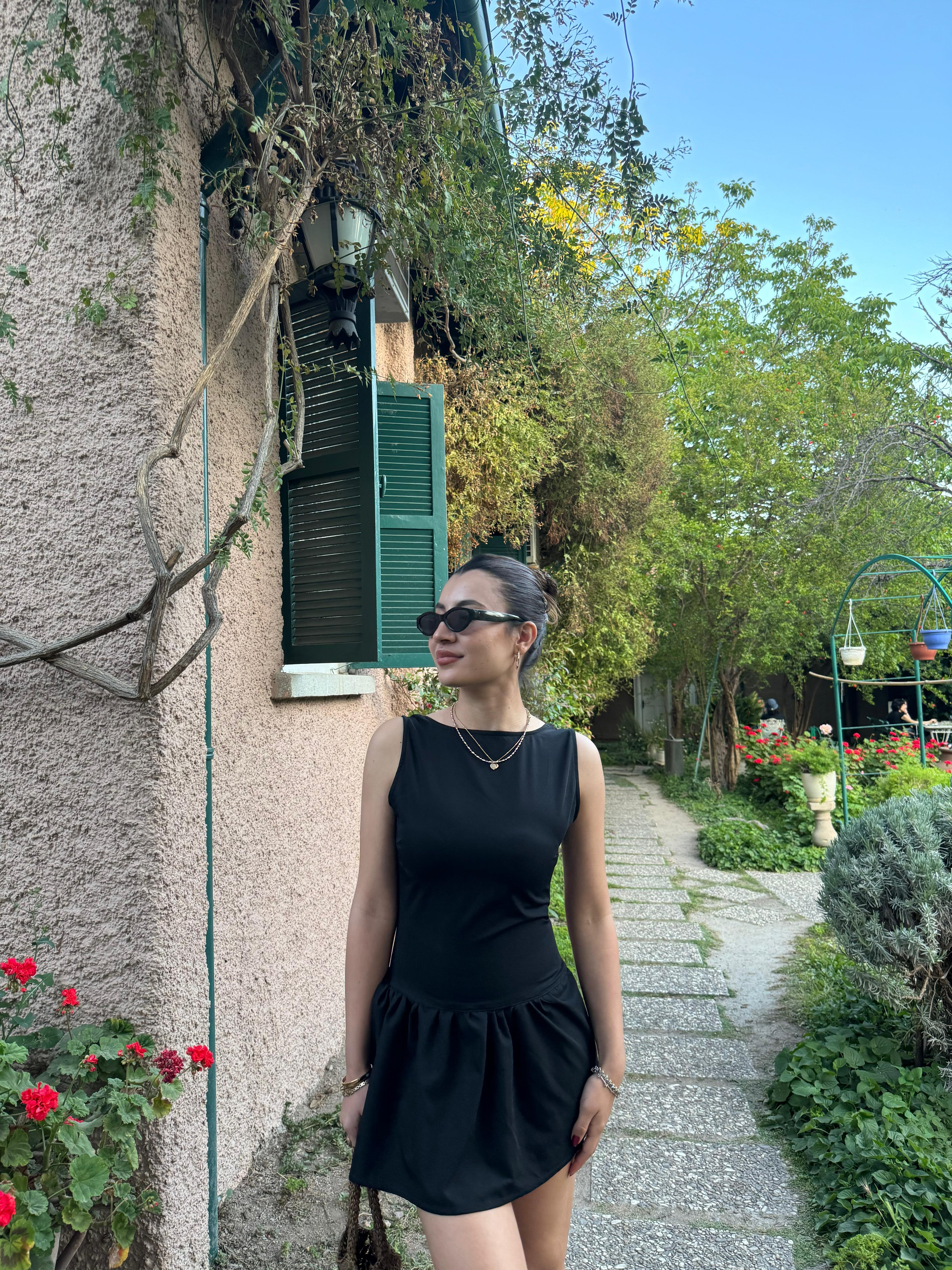 Black Swan Dress