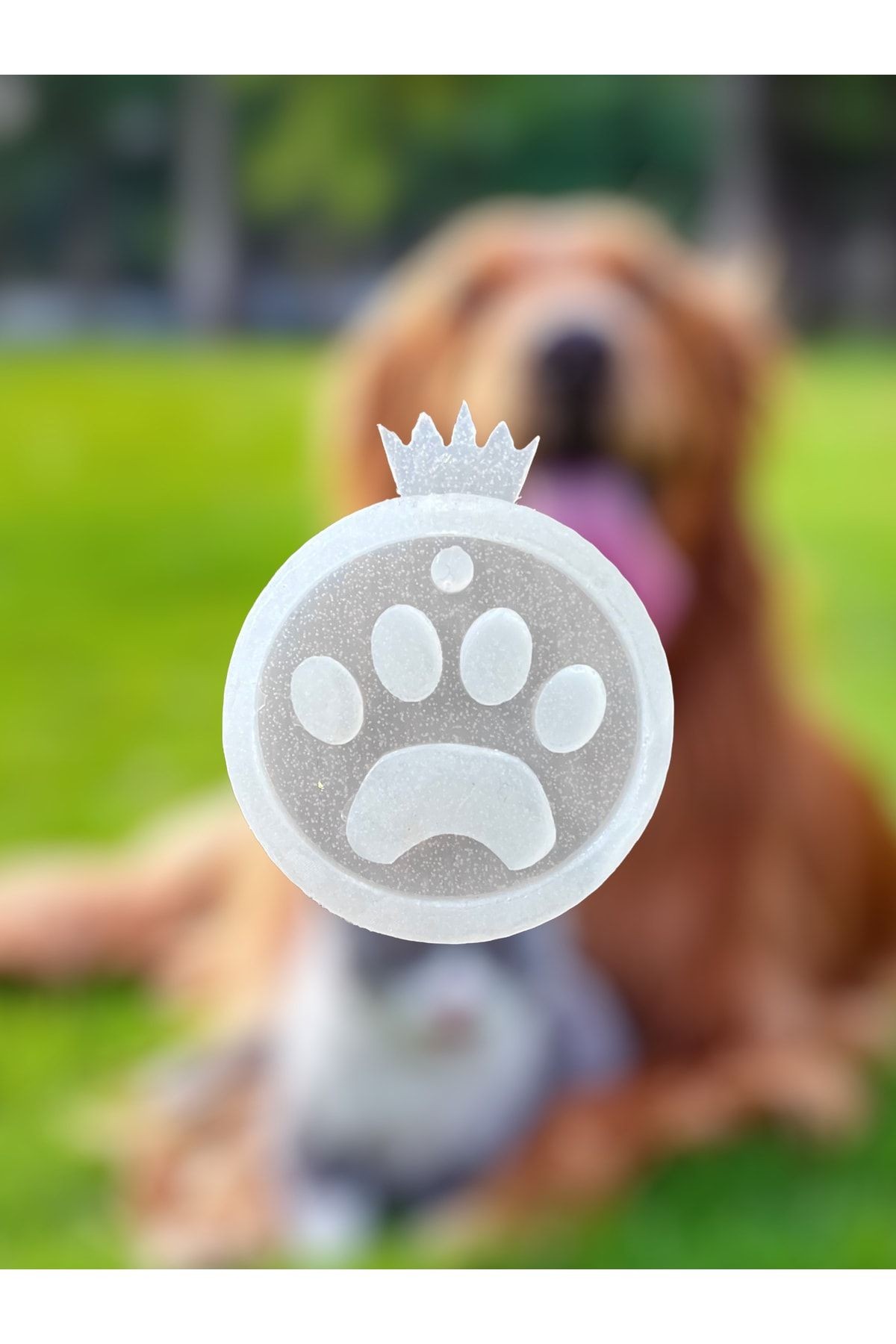 Epoksi Silikon Kalıp / Epoksi Kalıp / Reçine Künye Kolye Tasma Anahtarlık /köpek Kedi Silikon Kalıbı
