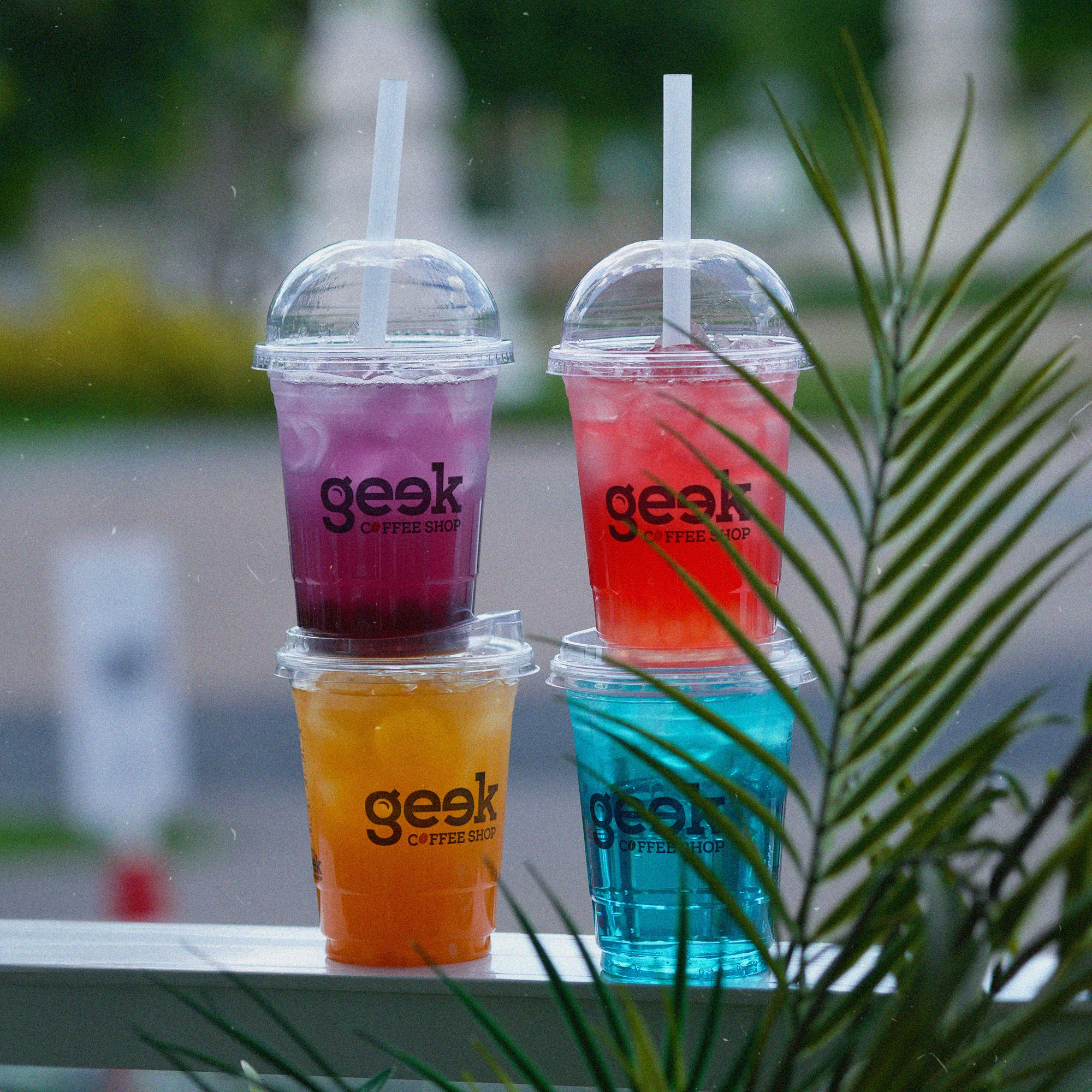 [object Object] cover pic