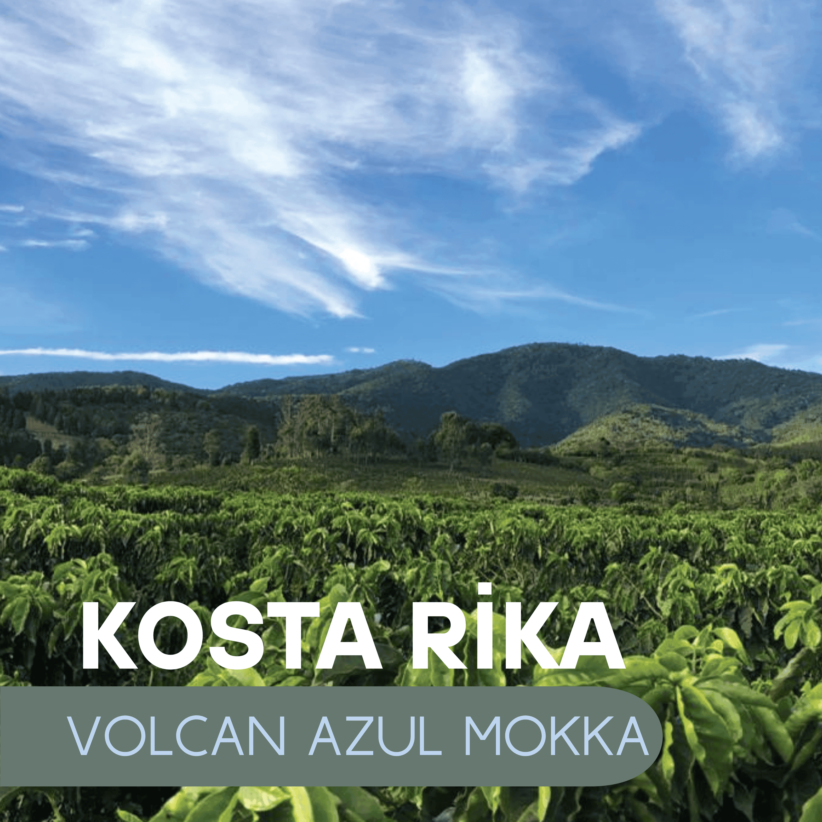 Kosta Rika Volcan Azul Mokka (Filtre)