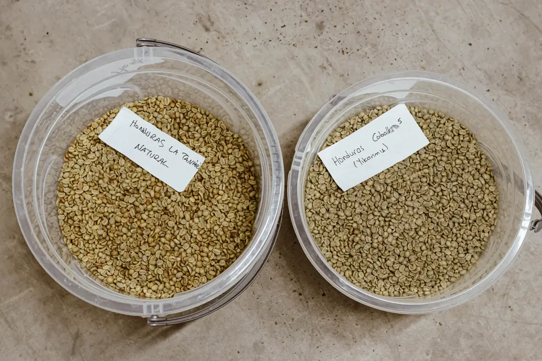 Çiğ Kahve Çekirdekleri