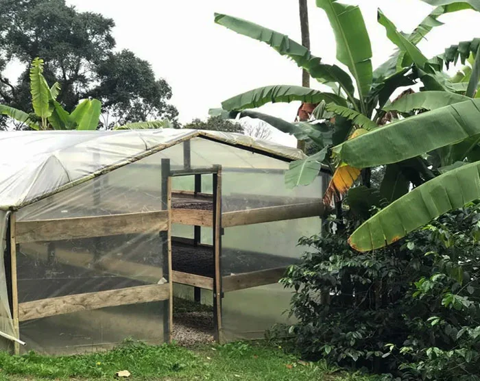 Kolombiya La Palma & El Tucan