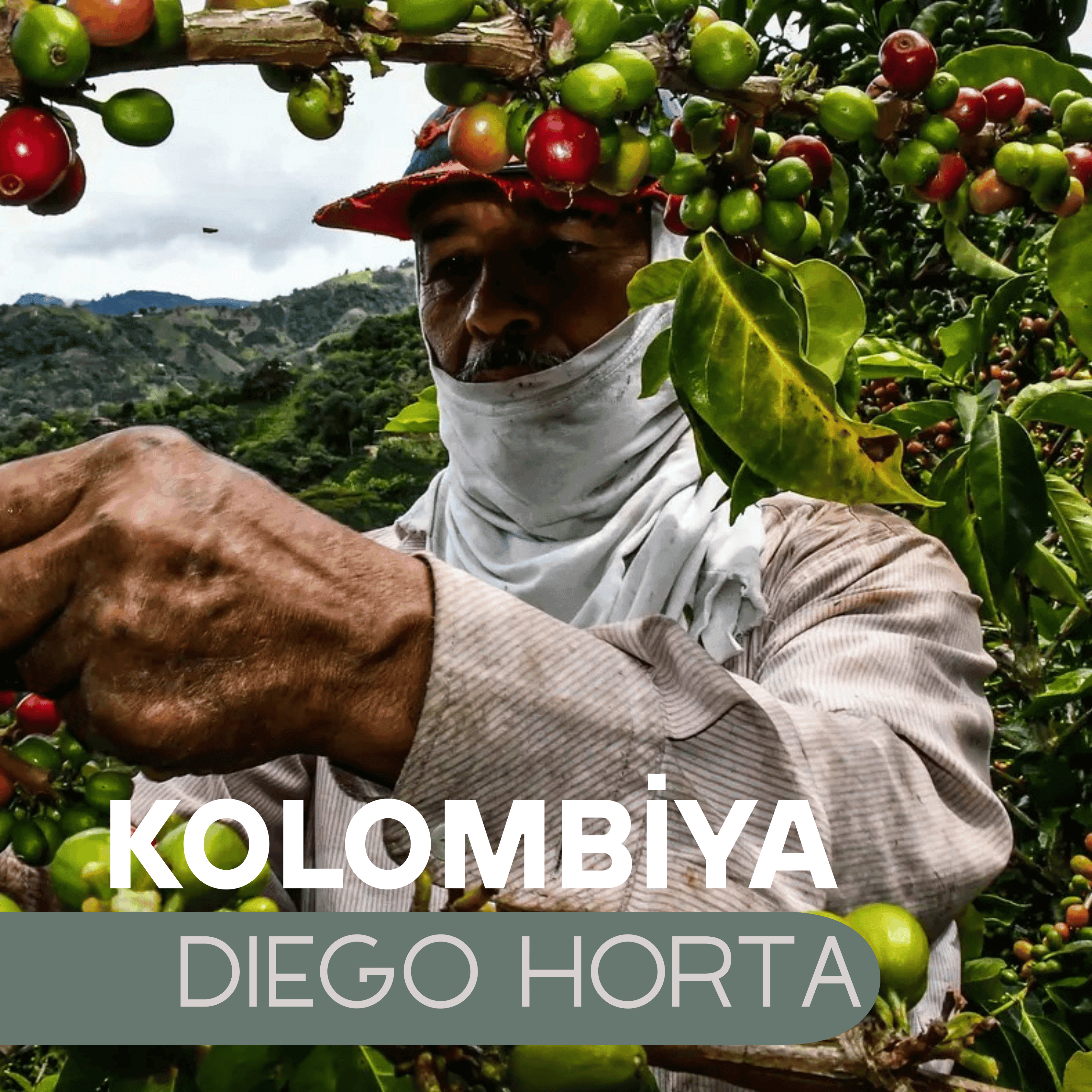 Kolombiya Diego Horta
