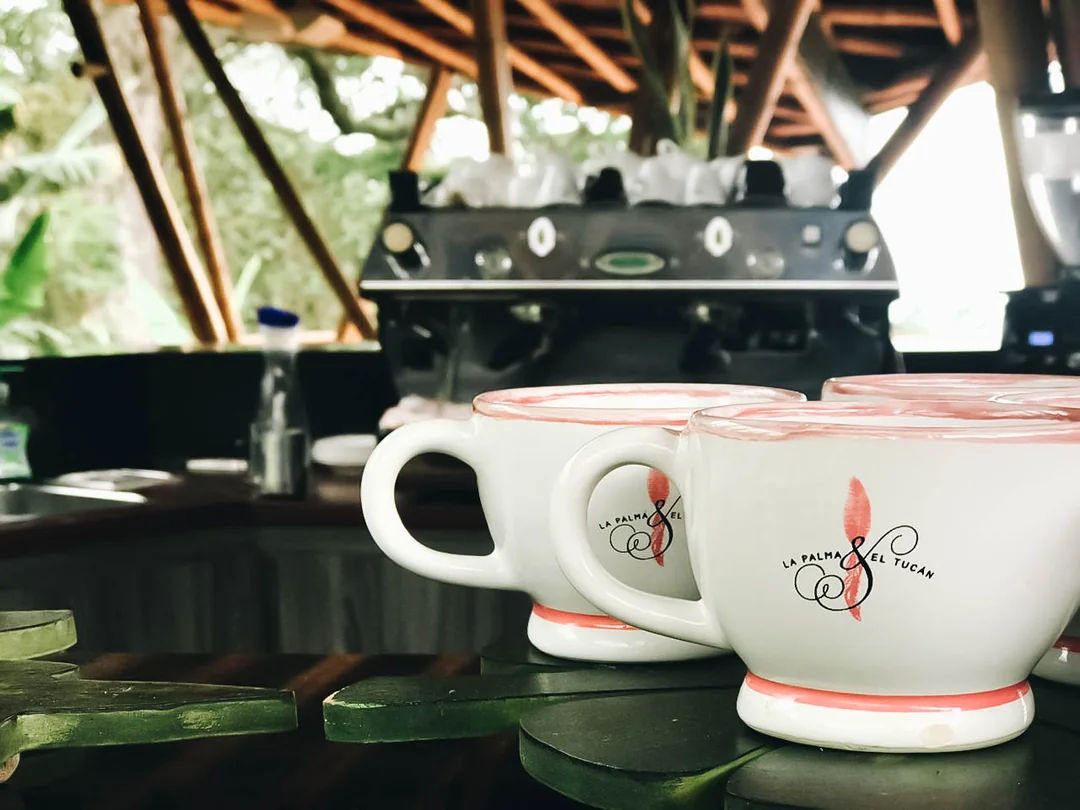 Tarlanın ortasında La Palma & El Tucan Kahve Barı!