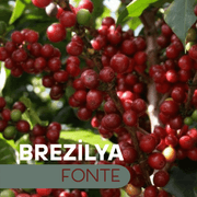 Brezilya