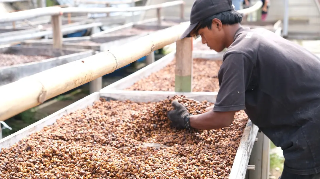 Endonezya’da Nitelikli Kahve İzinde: World of Coffee Jakarta ve Java ...