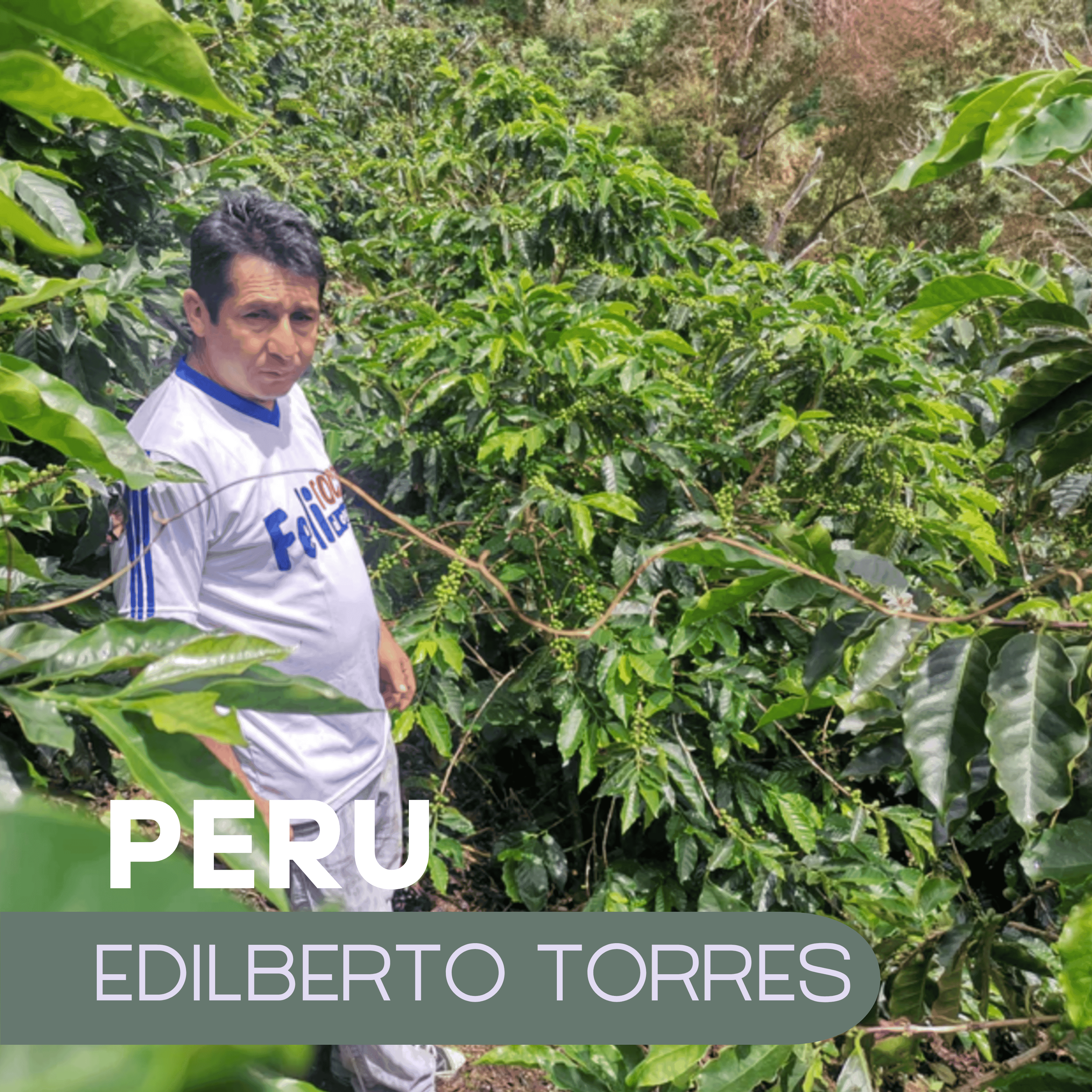 Peru Edilberto Torres