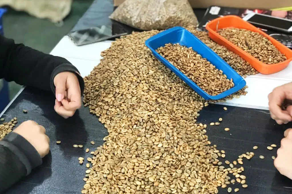 Kolombiya La Palma & El Tucan