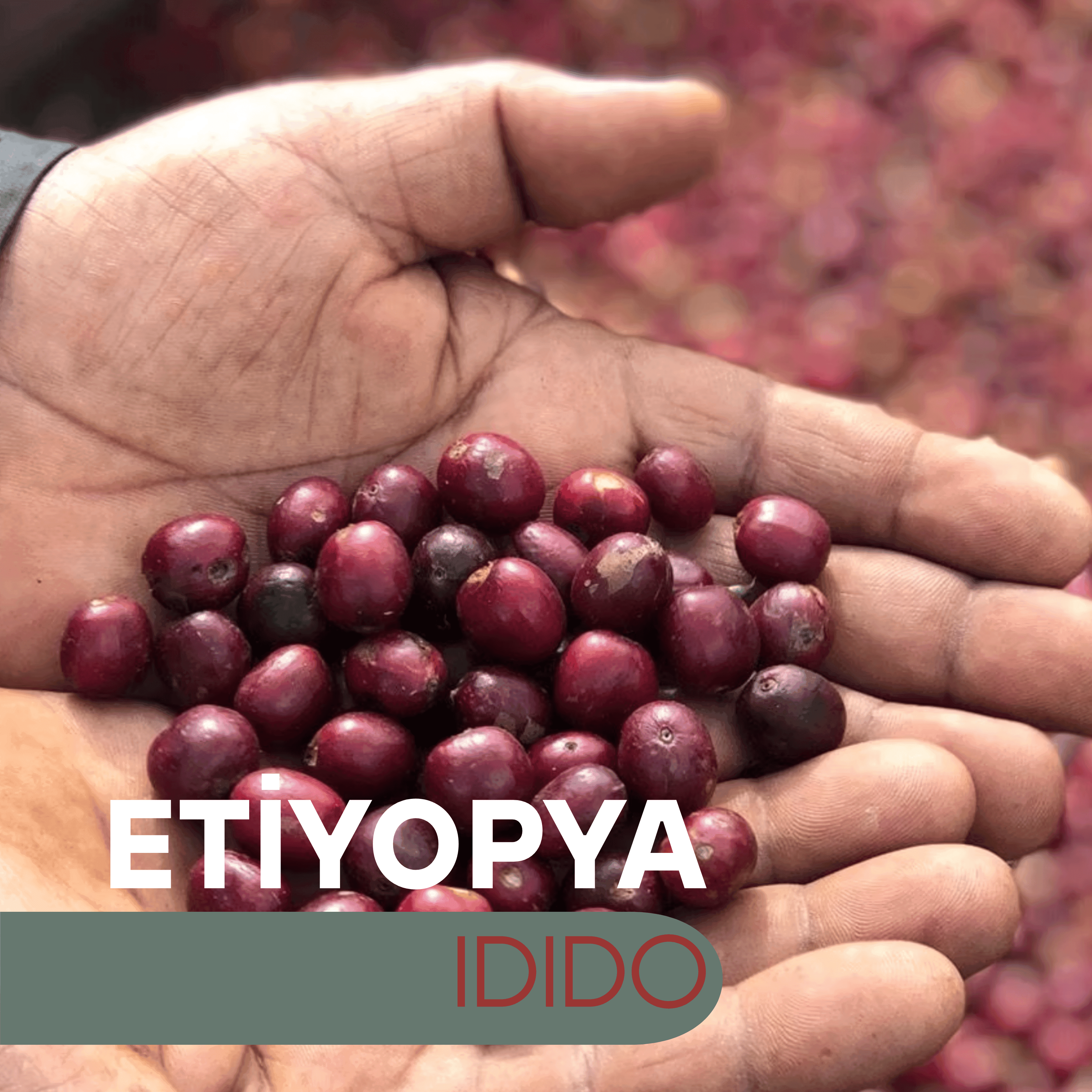 Etiyopya Idido