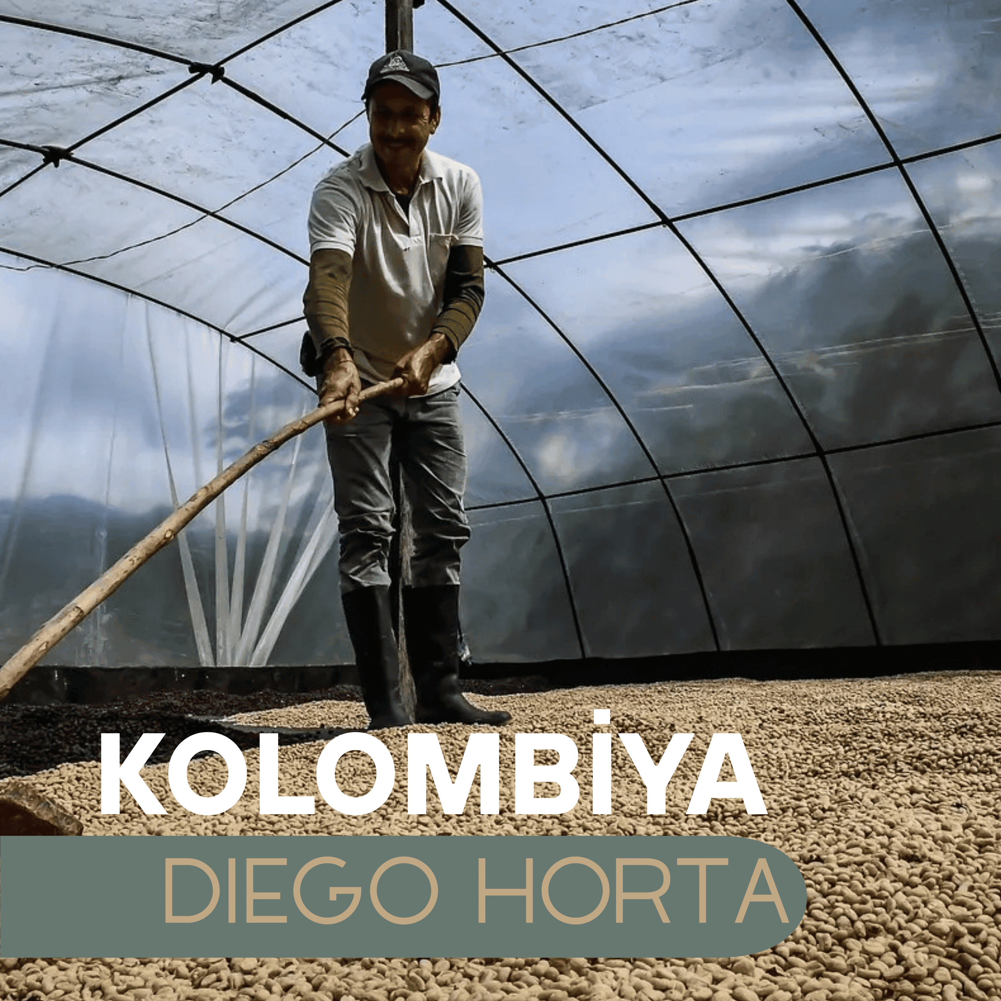Kolombiya Diego Horta