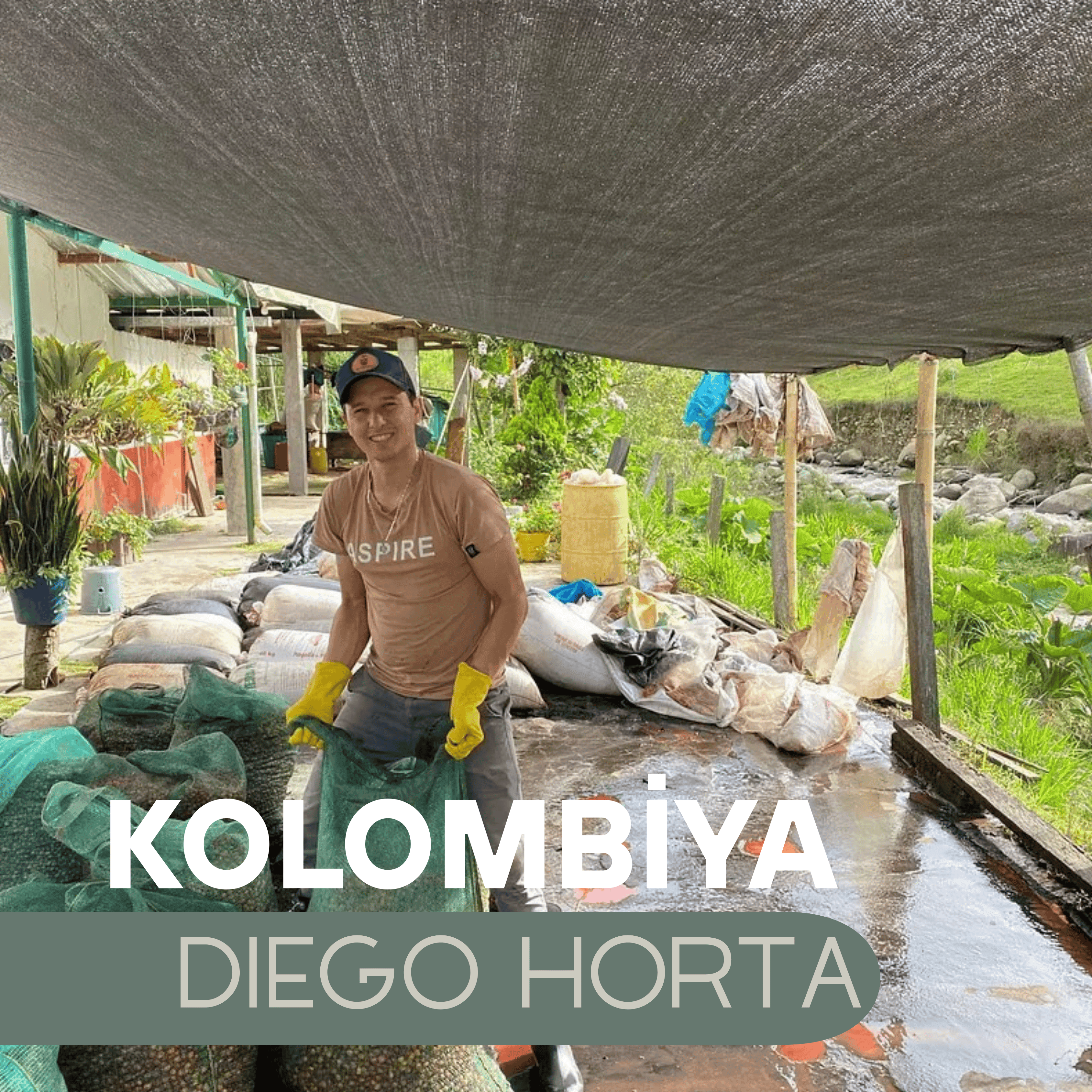 Kolombiya Diego Horta