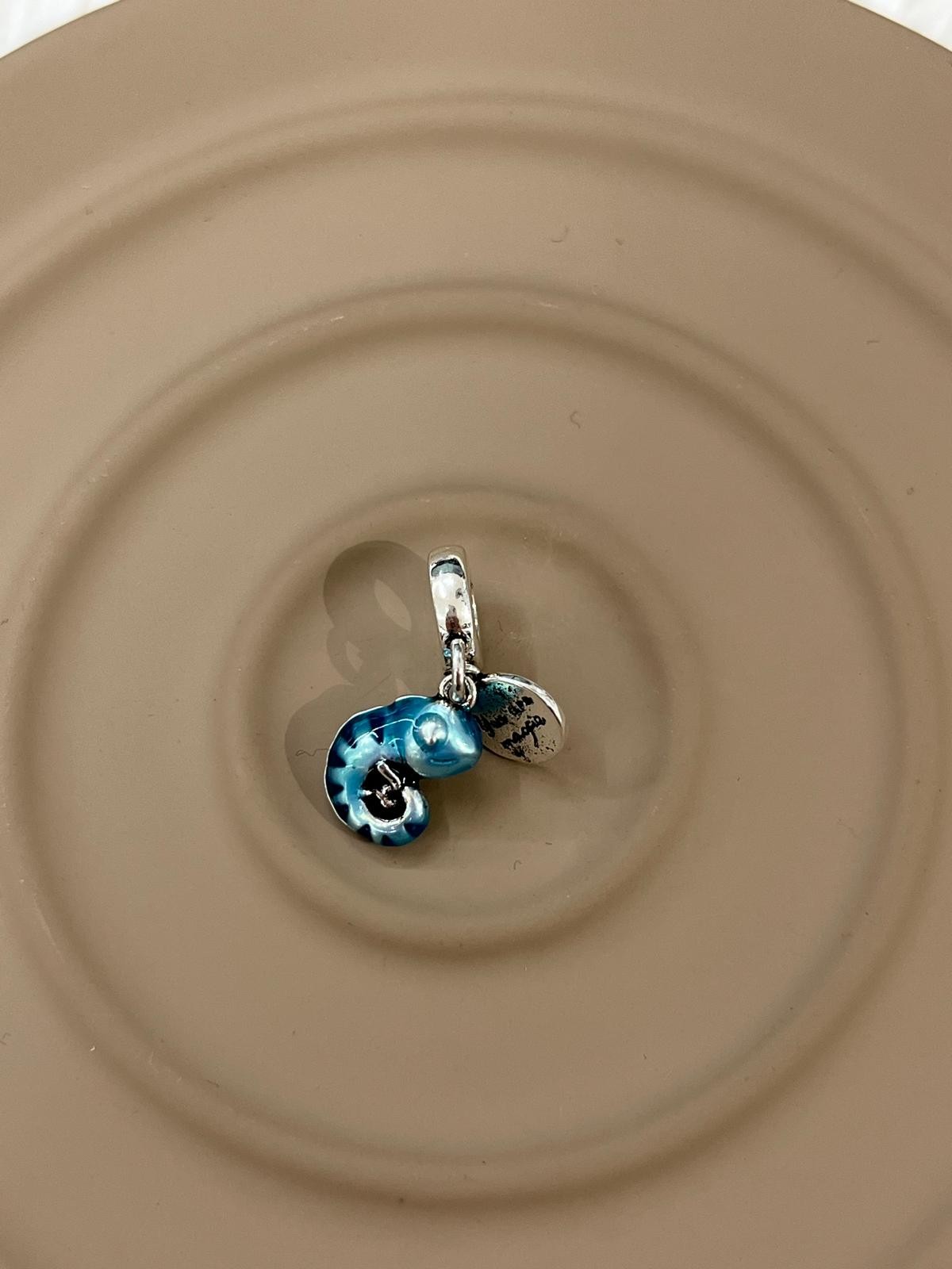 Pandora Charm