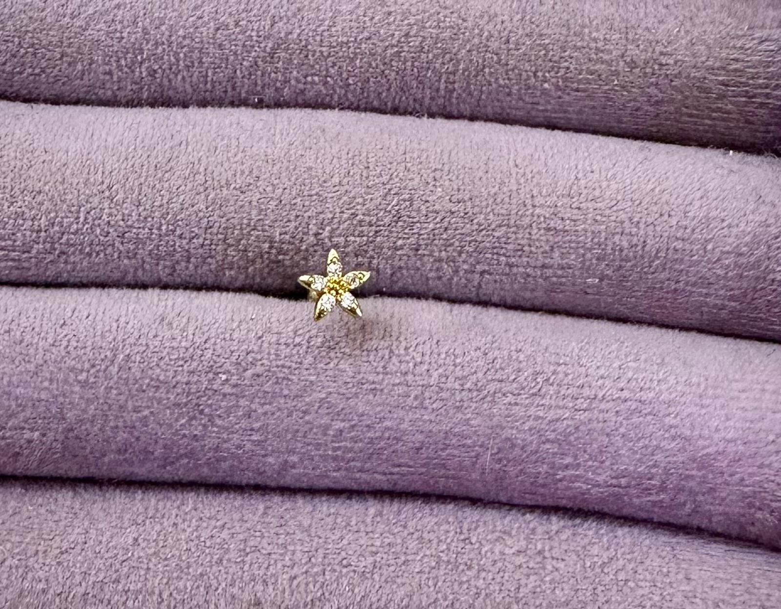 Kıkırdak Çiçeği 🌸✨Piercing