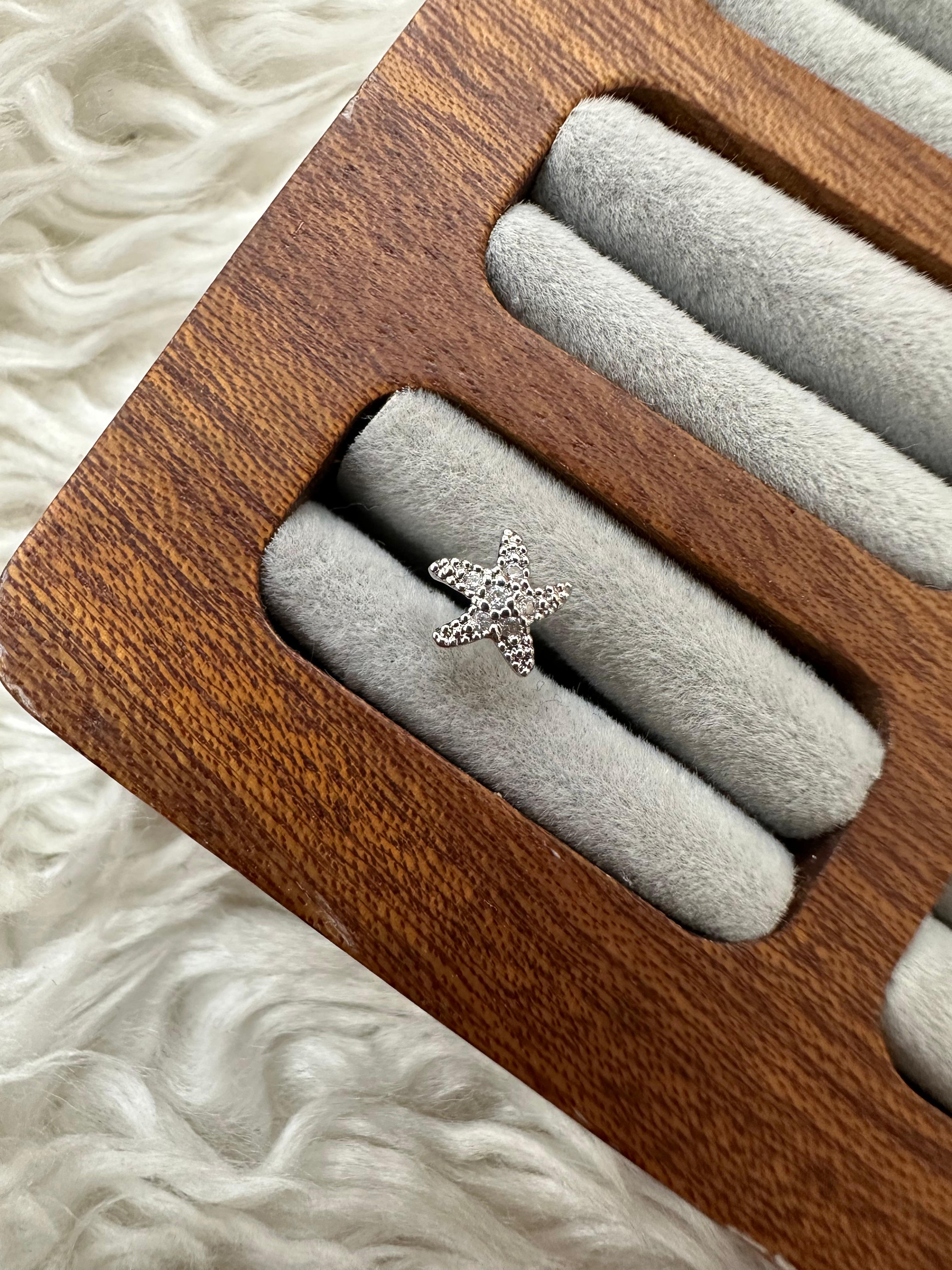 🌟🌊🐚 OKYANUS YILDIZI: DENİZ YILDIZI PIERCING 