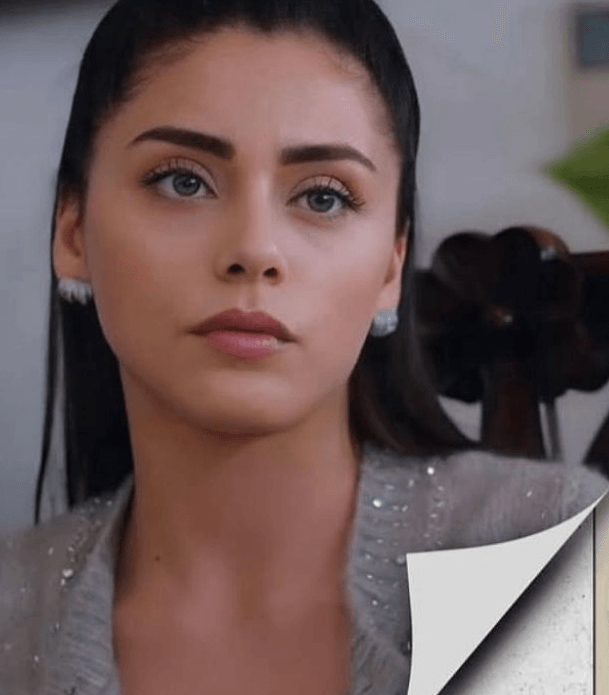 Kızılcık Şerbeti Doga Küpesi – Silver