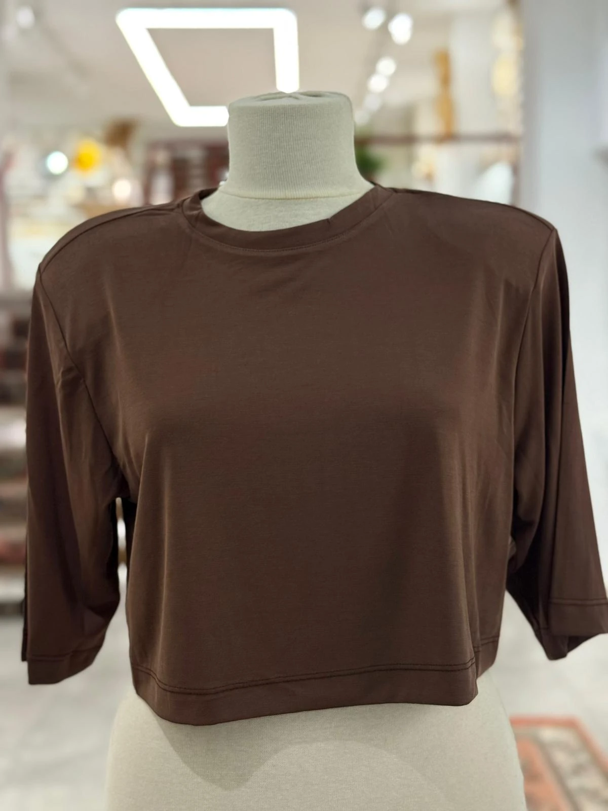 Kahve Renk Vatkalı Crop