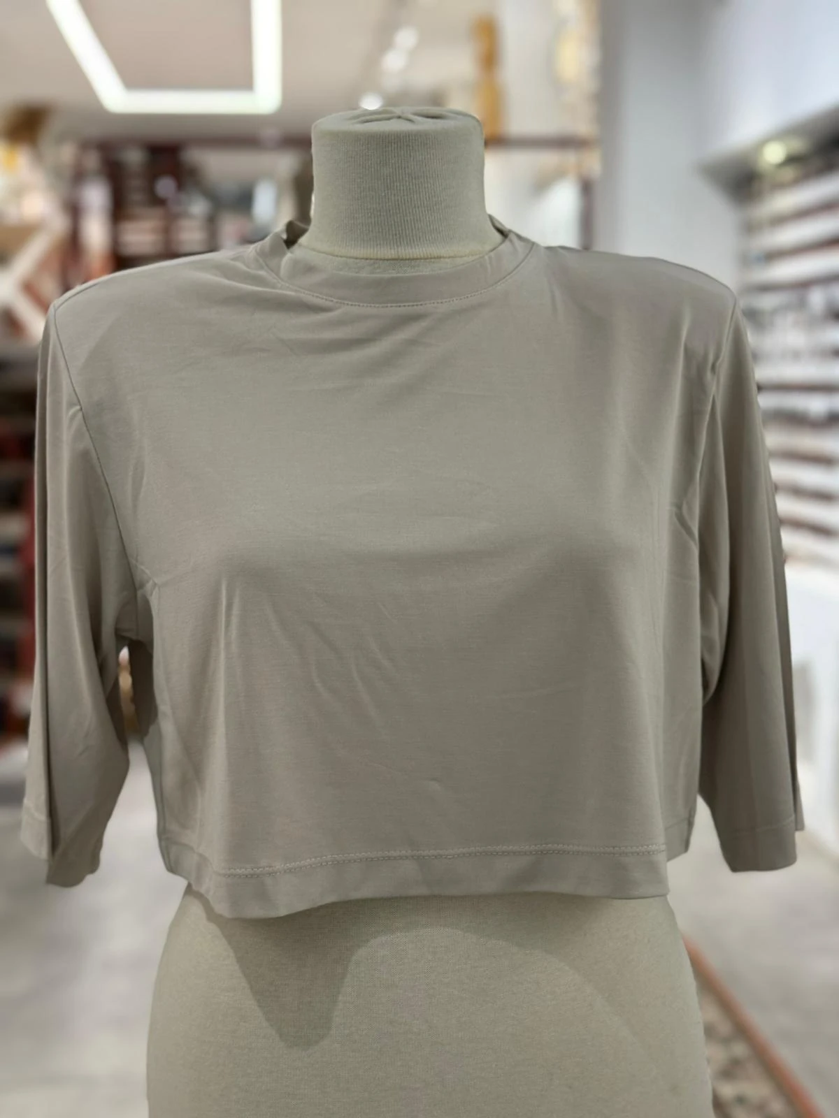 Taş Rengi Vatkalı Crop