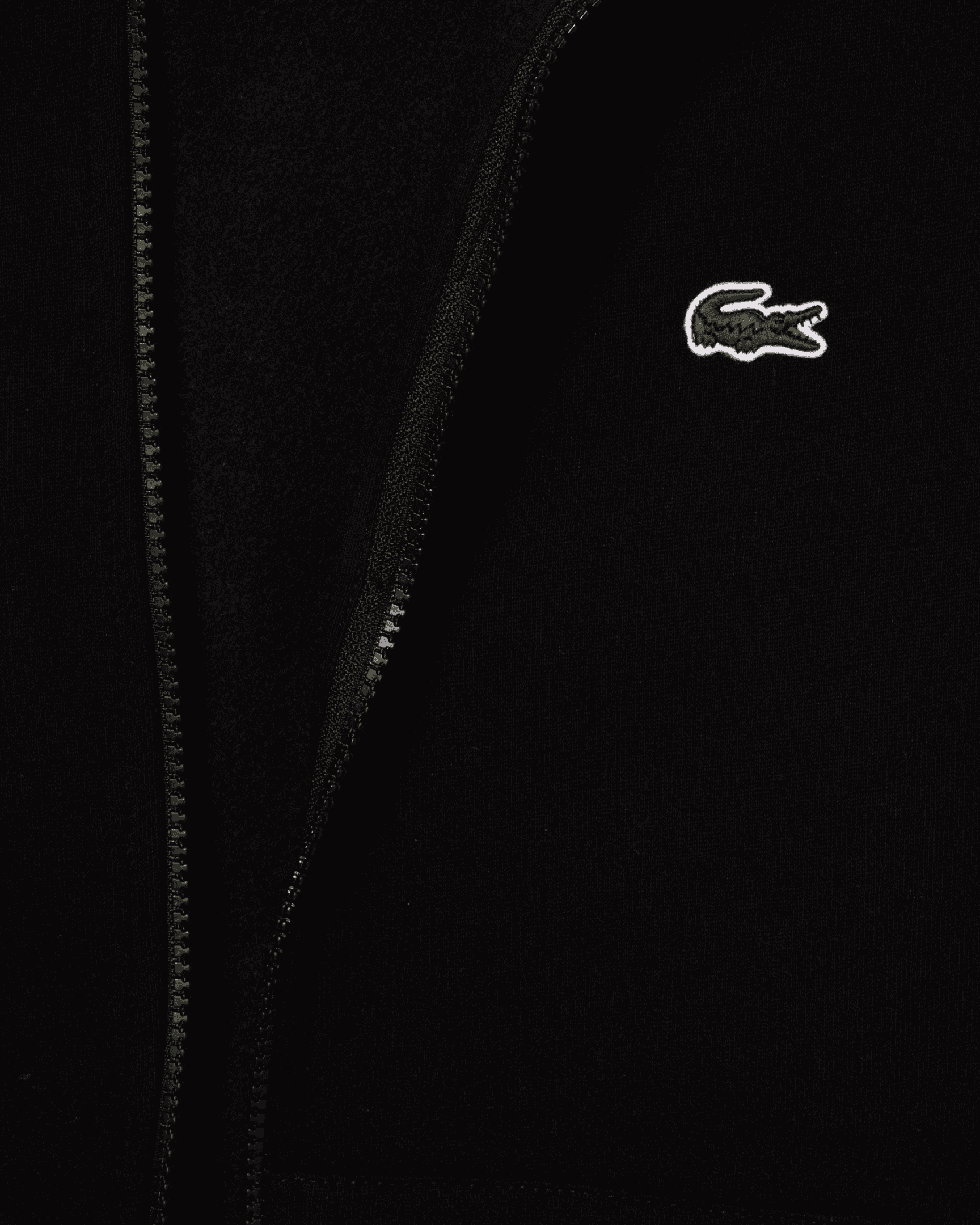 Classic Logo Full-Zip Hoodie