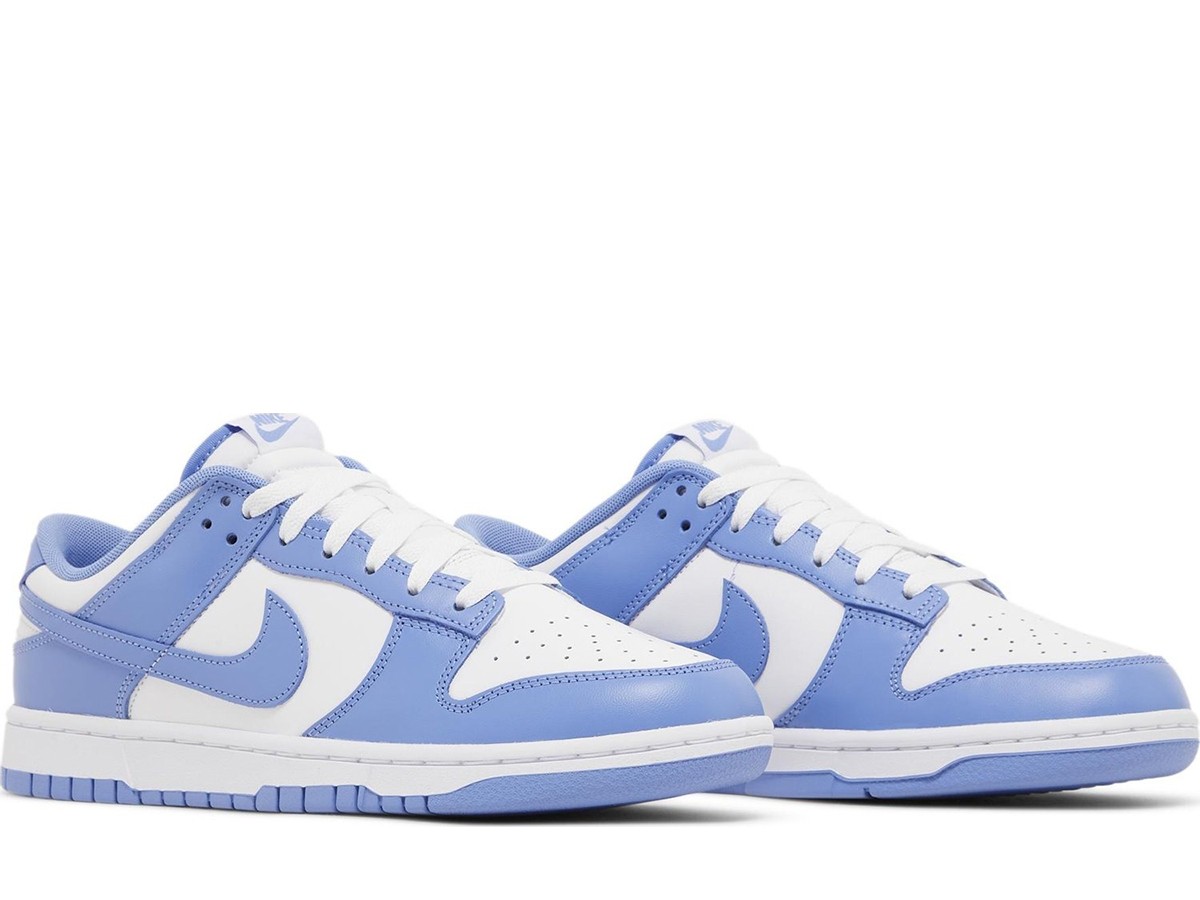 Nike Dunk Low Polar Blue