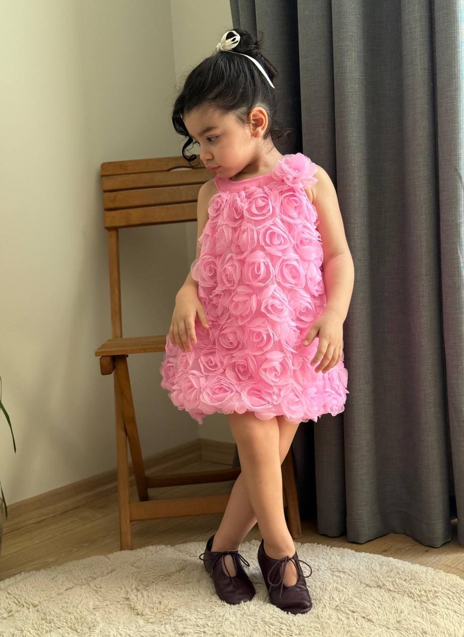 Gül İşlemeli Balon Etekli Elbise-Pembe