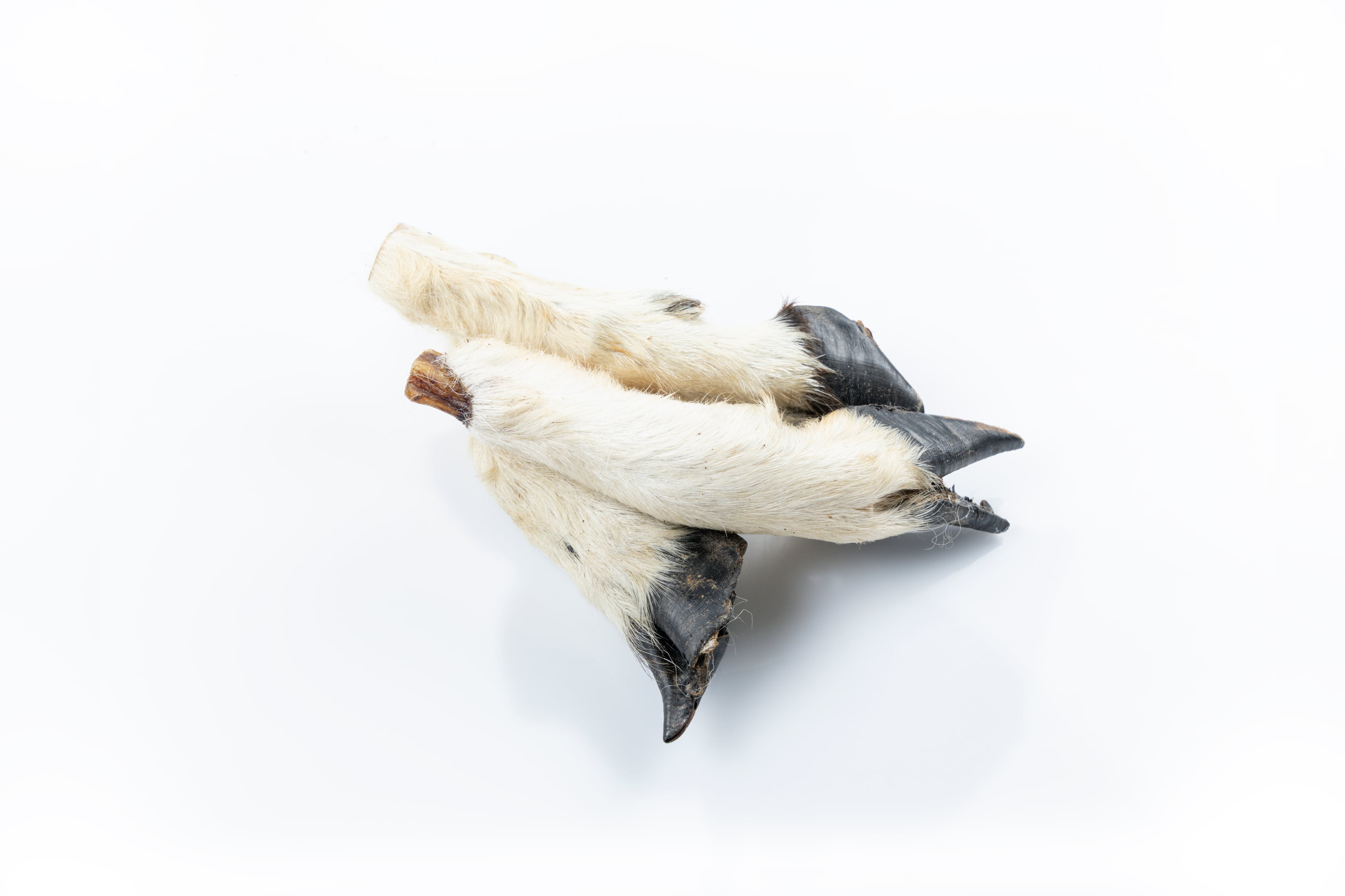 Kuzu Ayak %100 Doğal Çiğnemelik Köpek Ödül Maması 100 gr