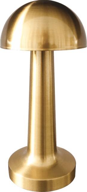 CT-8429 LİZBON ŞARJLI MASA LAMBASI GOLD 