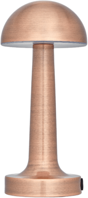 CT-8430 LİZBON ŞARJLI MASA LAMBASI BRONZ