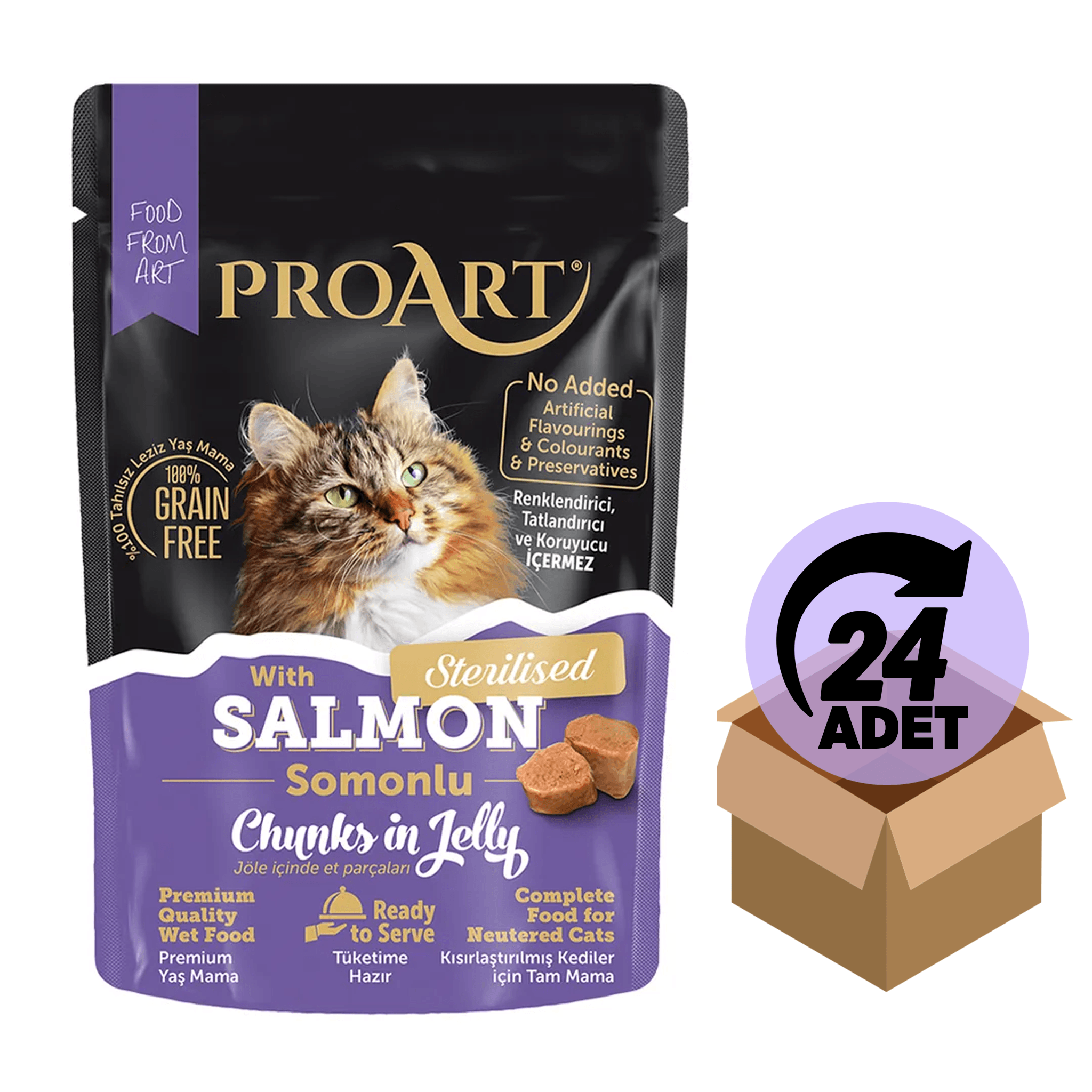 24 LÜ JÖLELİ SOMONLU KISIR KEDİ POŞET MAMASI 85 GR