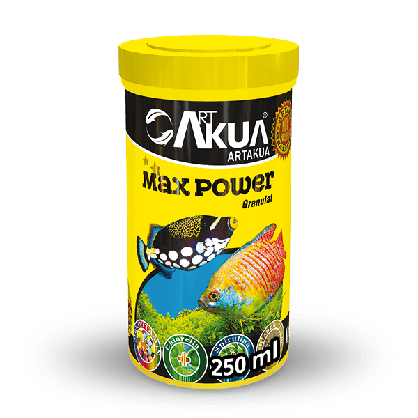 MAX POWER 100 GR