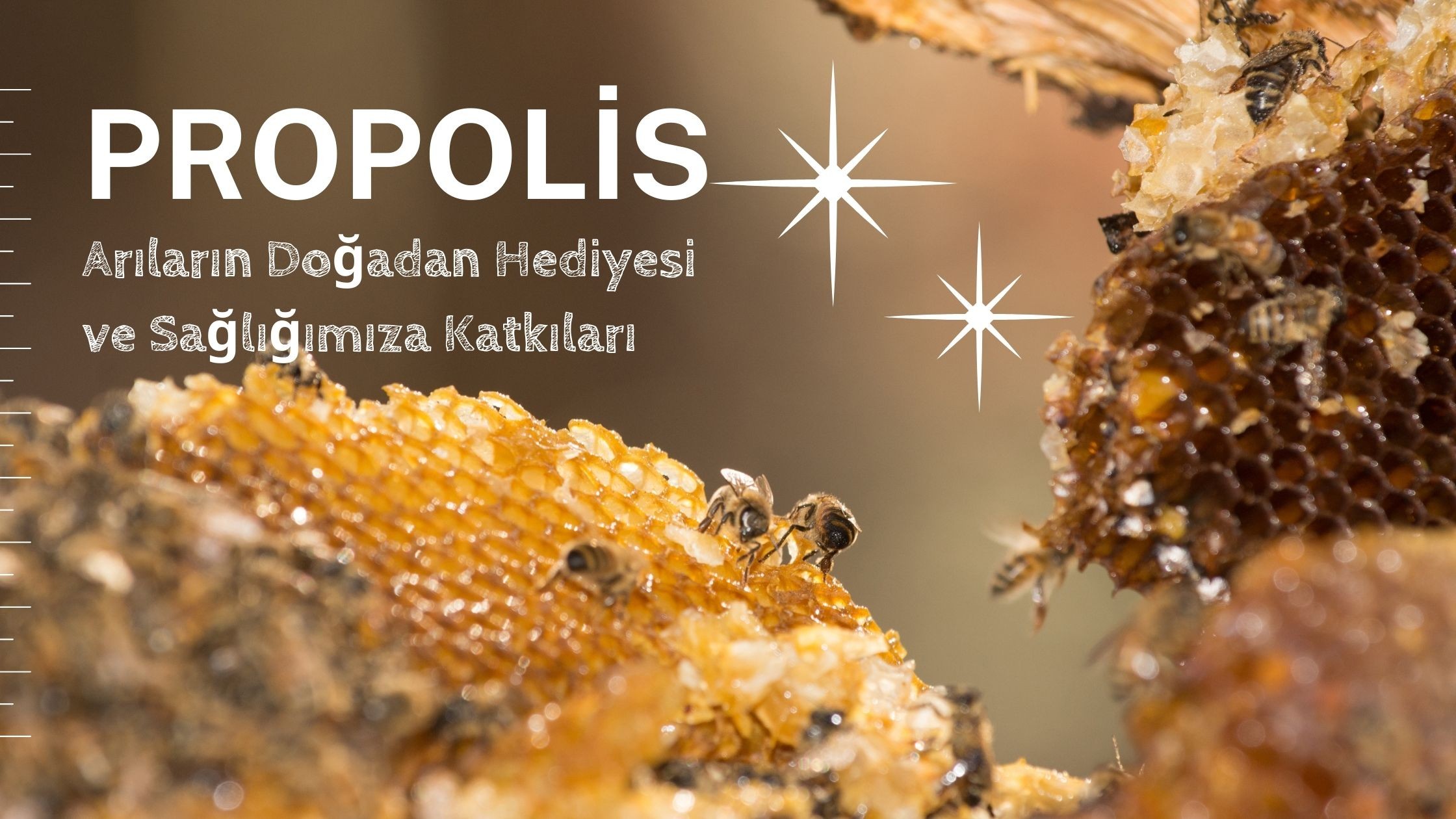 Propolis: Arıların Doğadan Hediyesi ve Sağlığımıza Katkıları