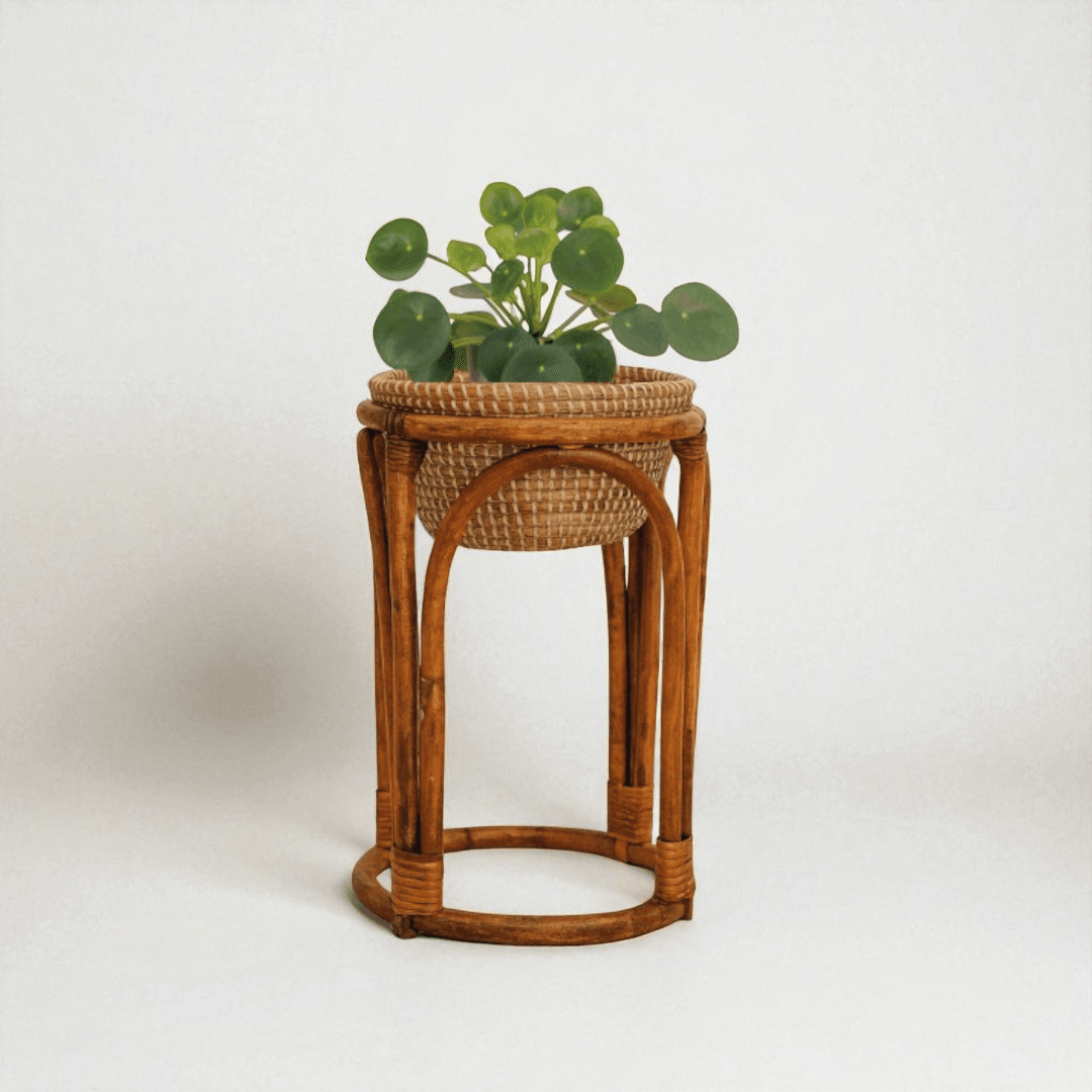 Sable Fat Rattan Saksılık
