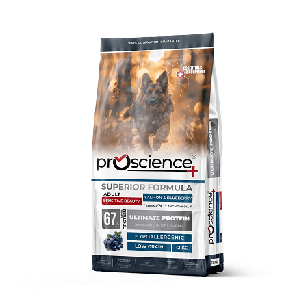 PRO SCIENCE SALMON DOG (Somonlu Yetişkin Köpek Maması) - 12 Kg