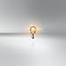 OSRAM DIADEM PY21W halojen, sinyal lambası, sinyal lambası, 7507LDA, 12V, katlanır karton kutu (1 adet)